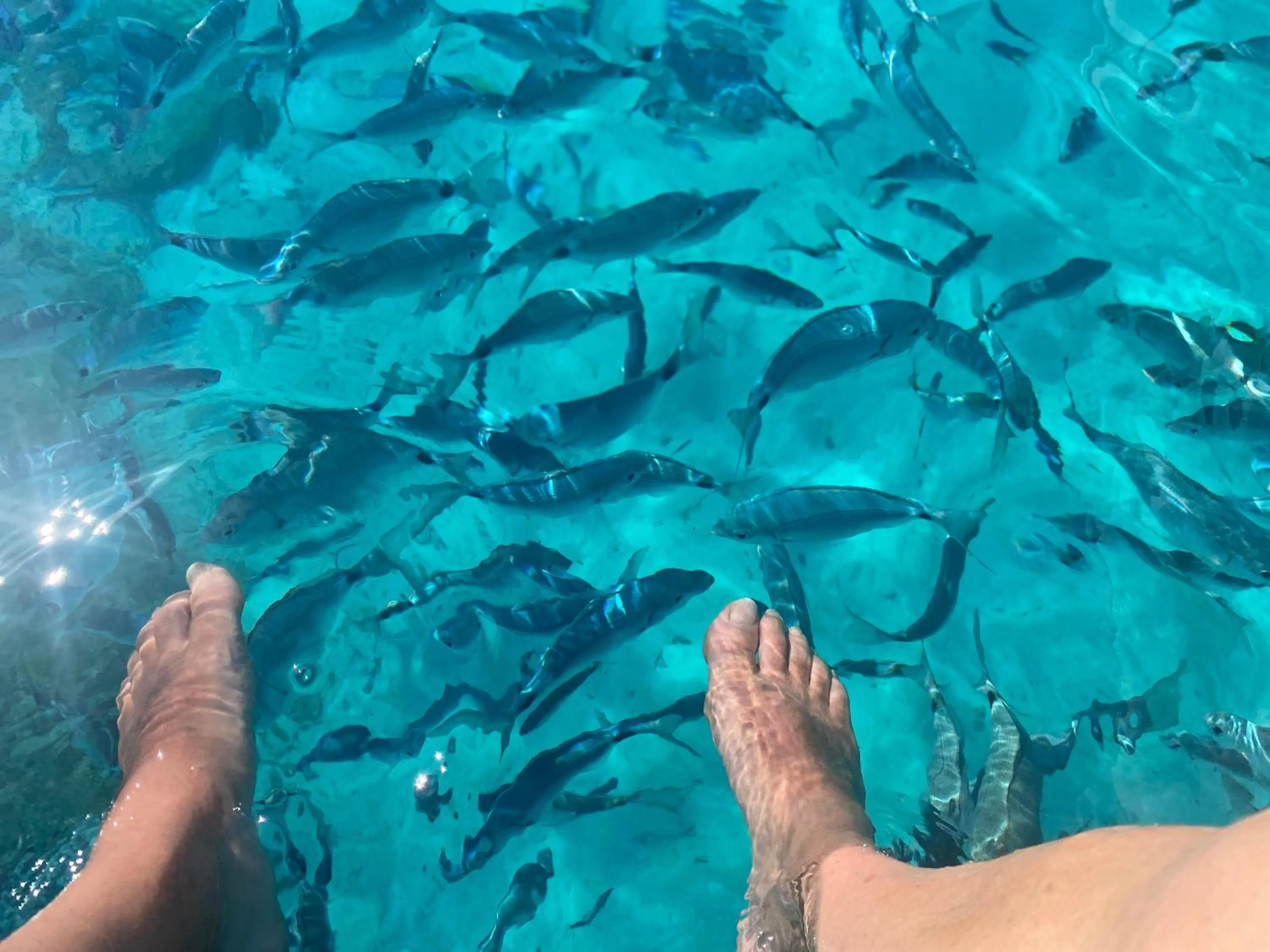 Snorkeling in Hotel Villa Del Parco