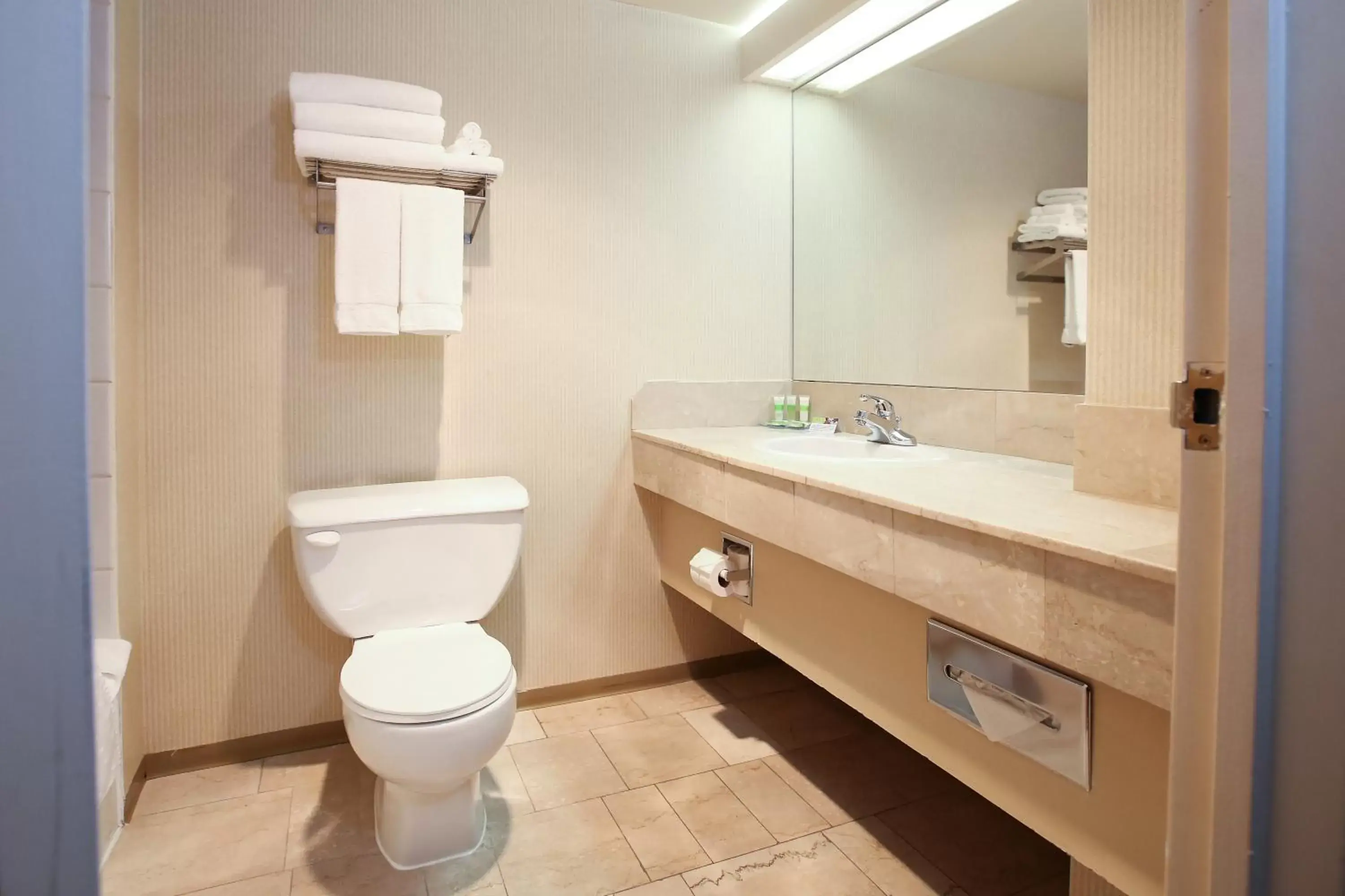 Toilet, Bathroom in Atrium Inn Vancouver