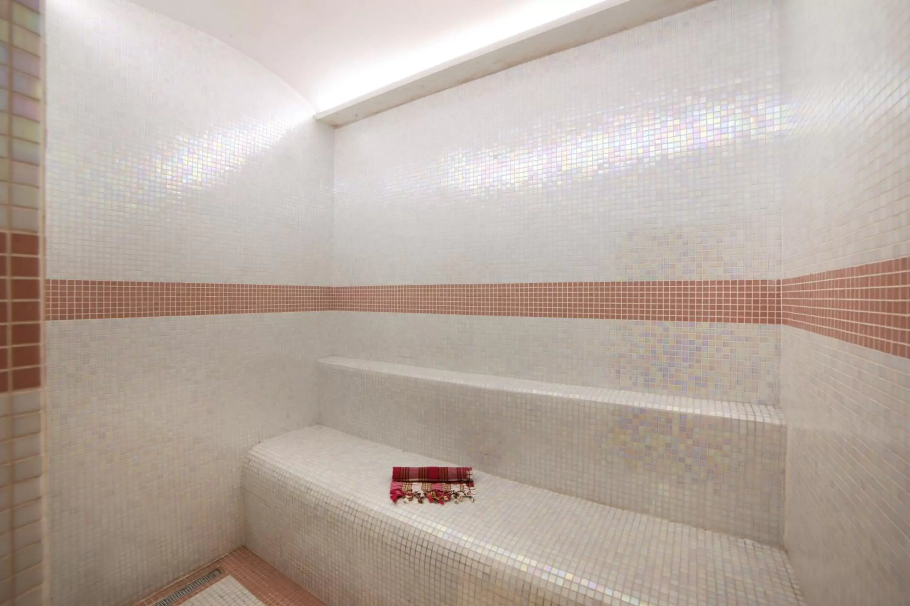 Steam room, Bathroom in Skalion Hotel & SPA