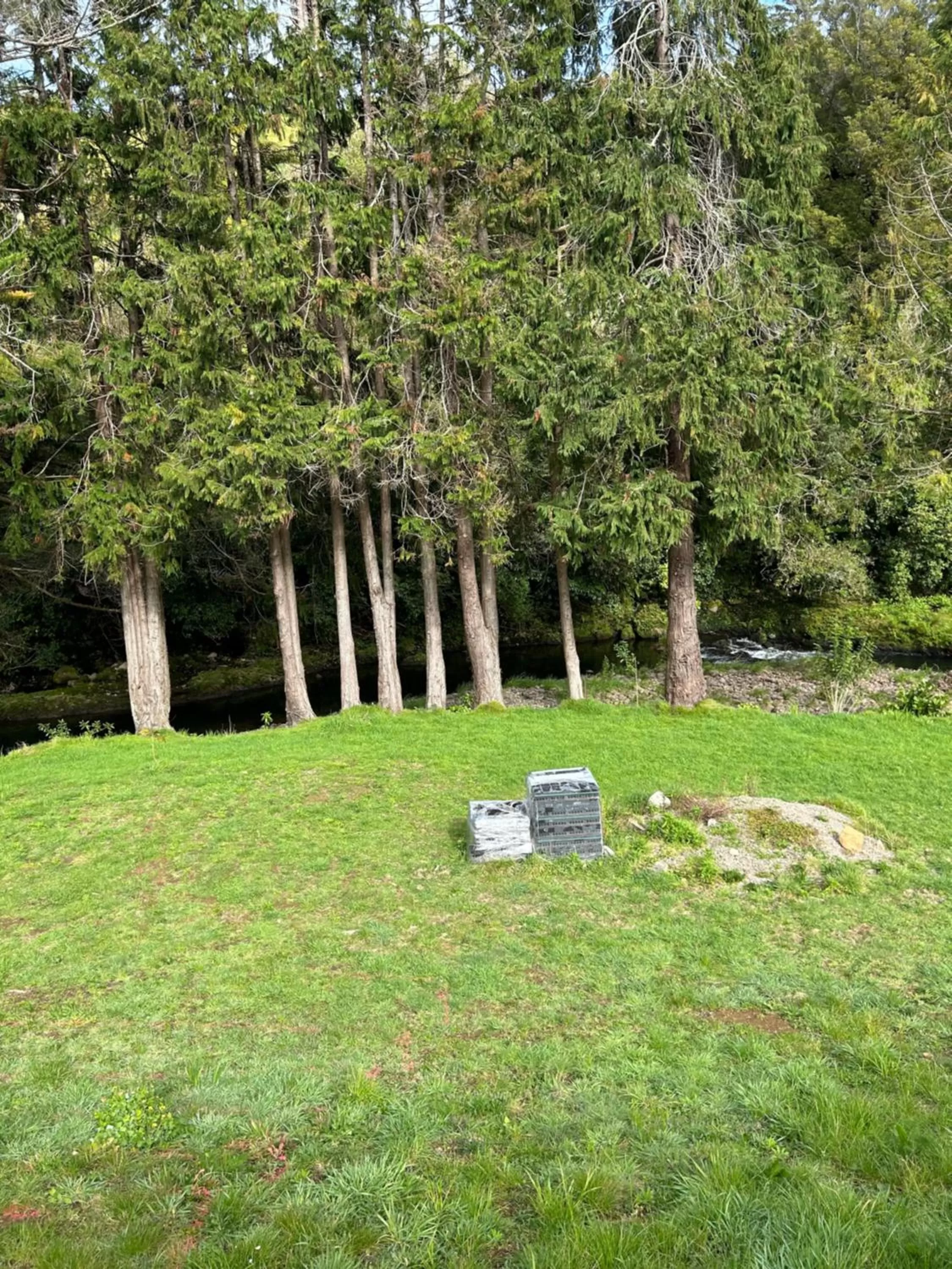 Spring in Almost Heaven BNB