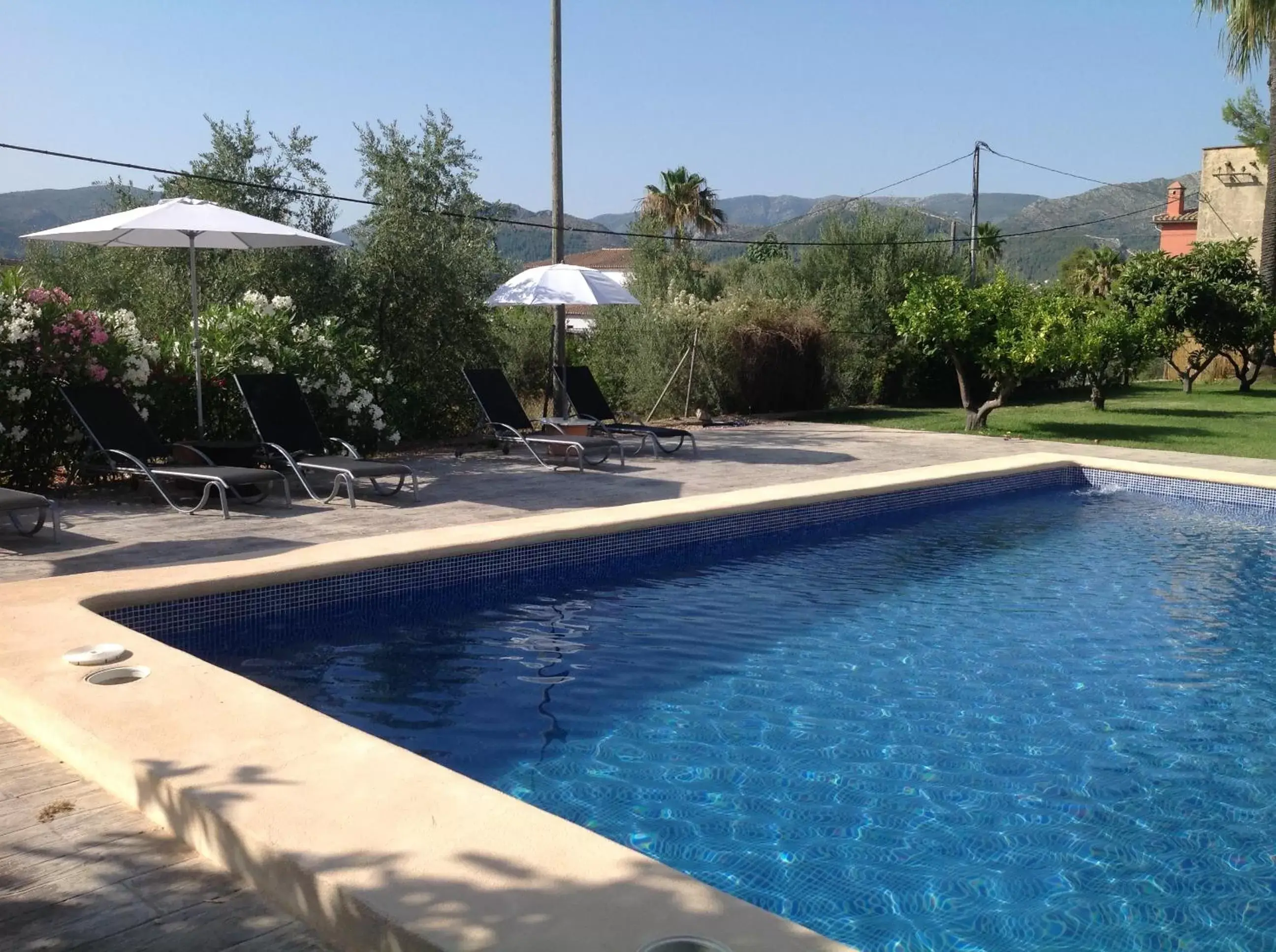 Swimming Pool in Casa Alestelou