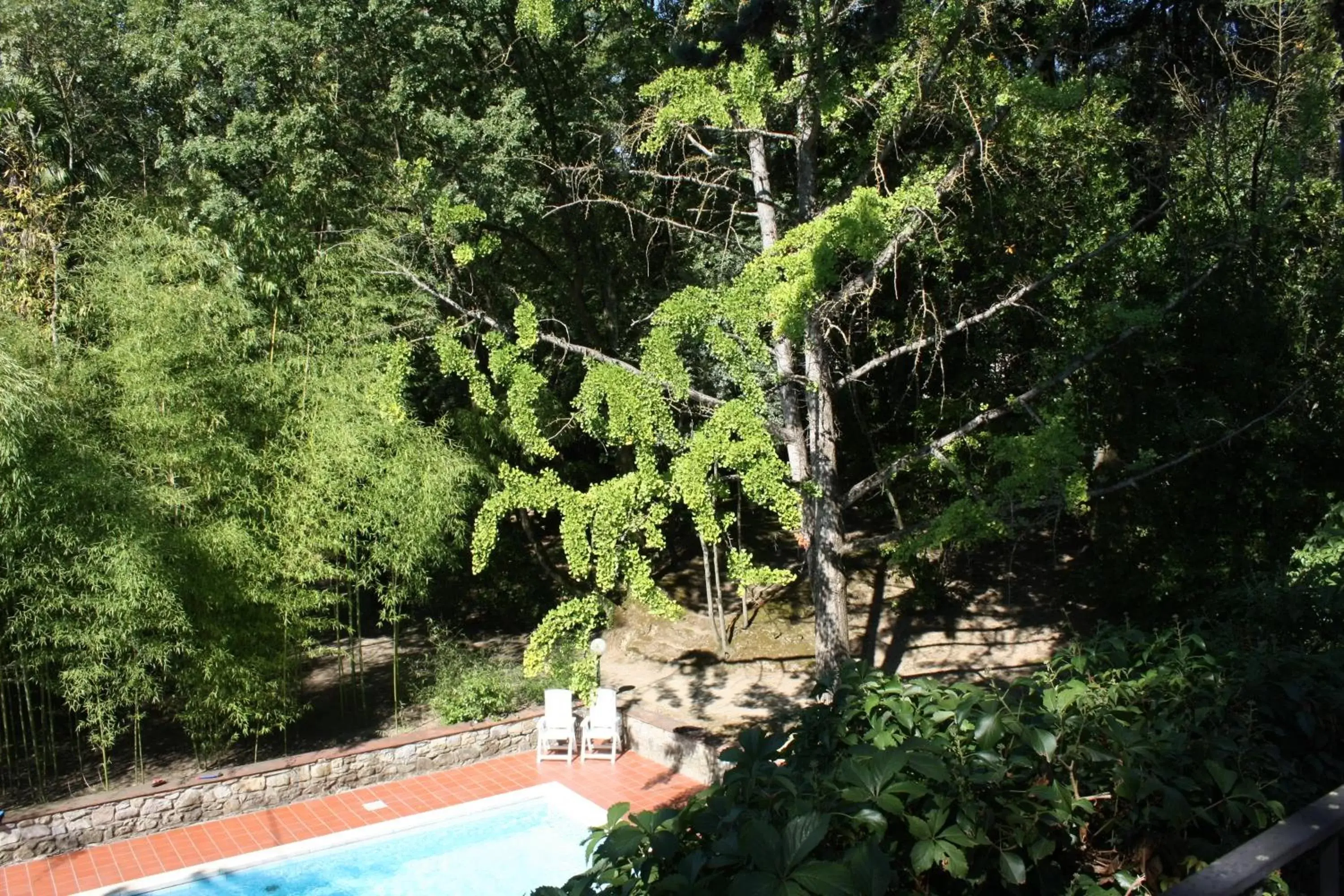 Garden view, Pool View in Villa La Nussa