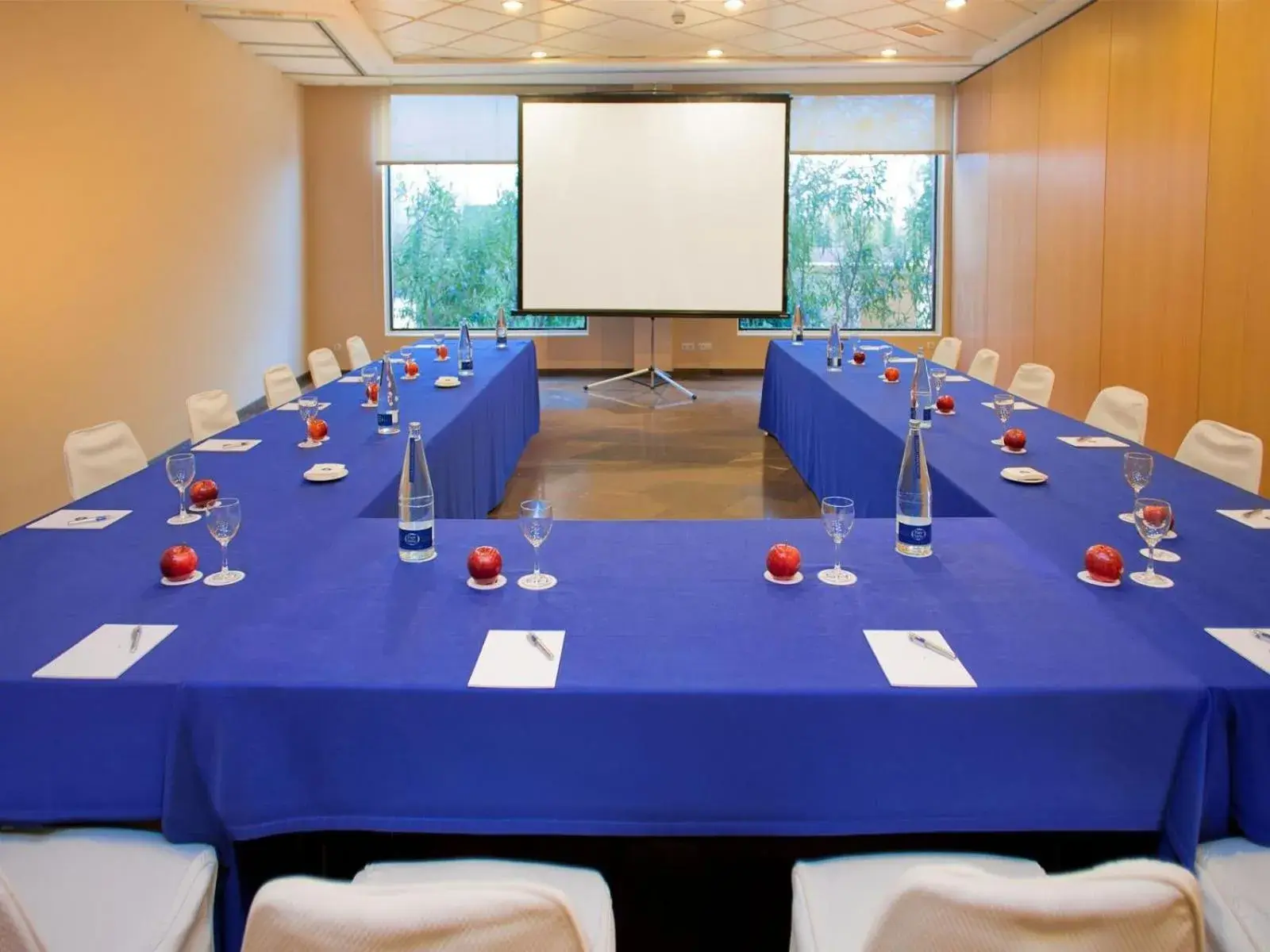 Meeting/conference room, Business Area/Conference Room in Flag Hotel Valencia Florazar