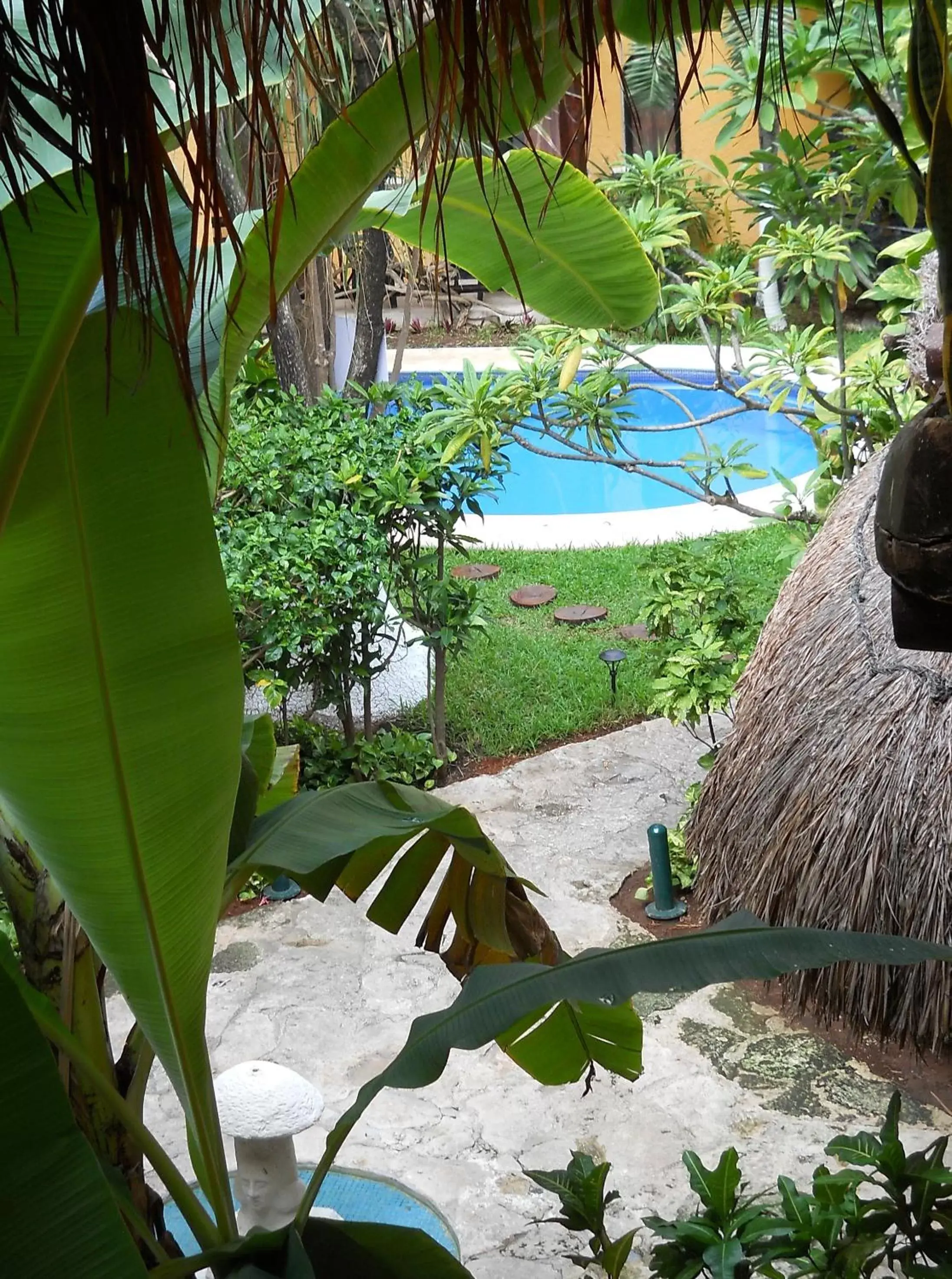 Patio, Pool View in Hotel Bosque Caribe, 5th Av. zone