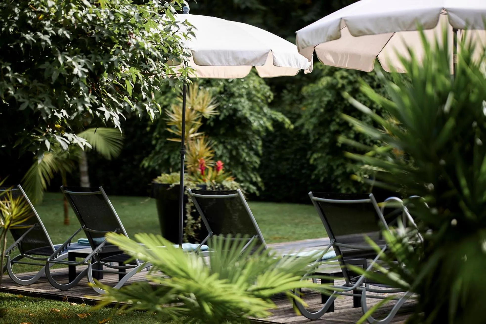 Garden in Furnas Boutique Hotel - Thermal & Spa