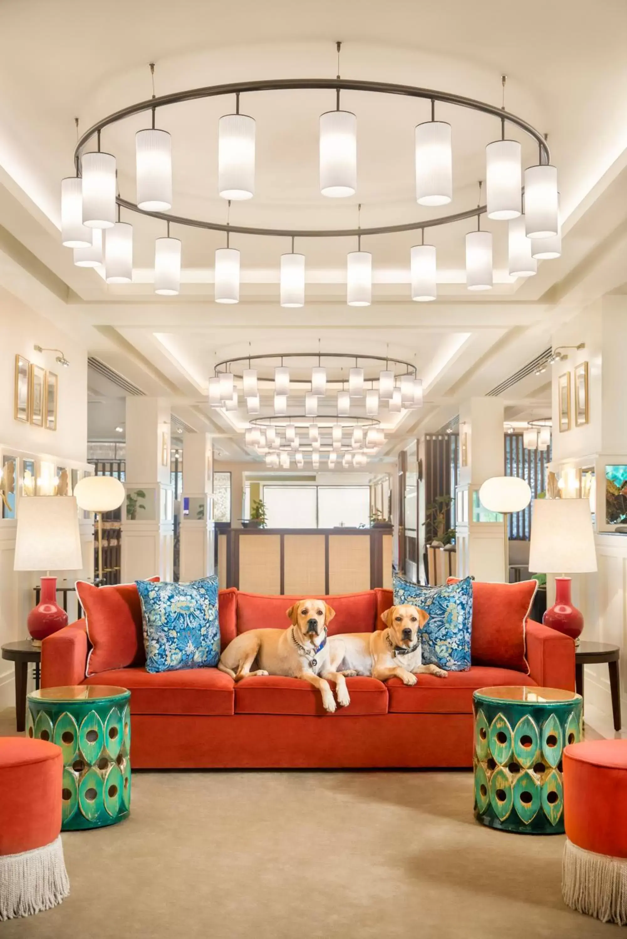 Pets, Seating Area in Tajview,Agra-IHCL SeleQtions