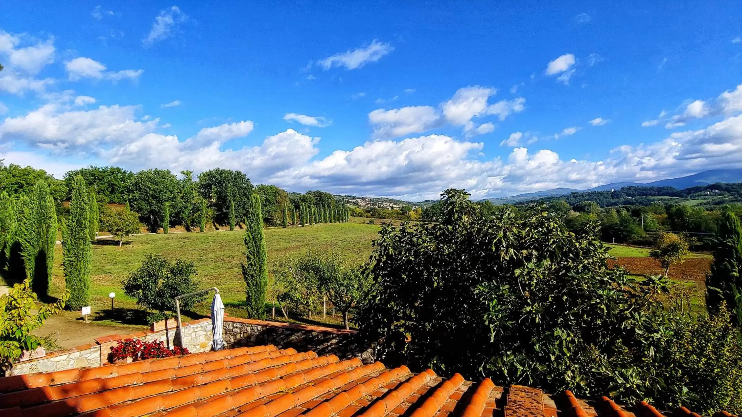 View (from property/room) in Torrebianca Tuscany