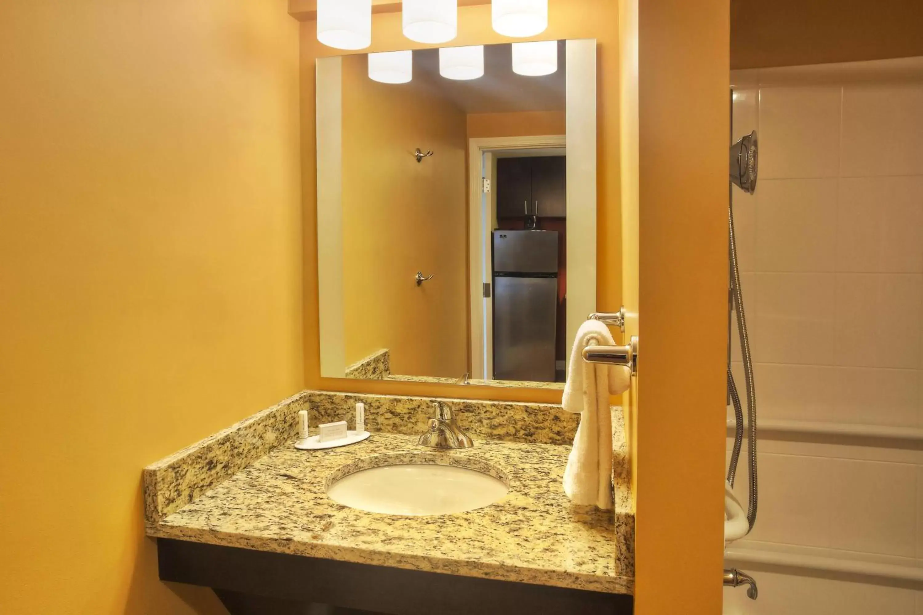 Bathroom in TownePlace Suites by Marriott Franklin Cool Springs