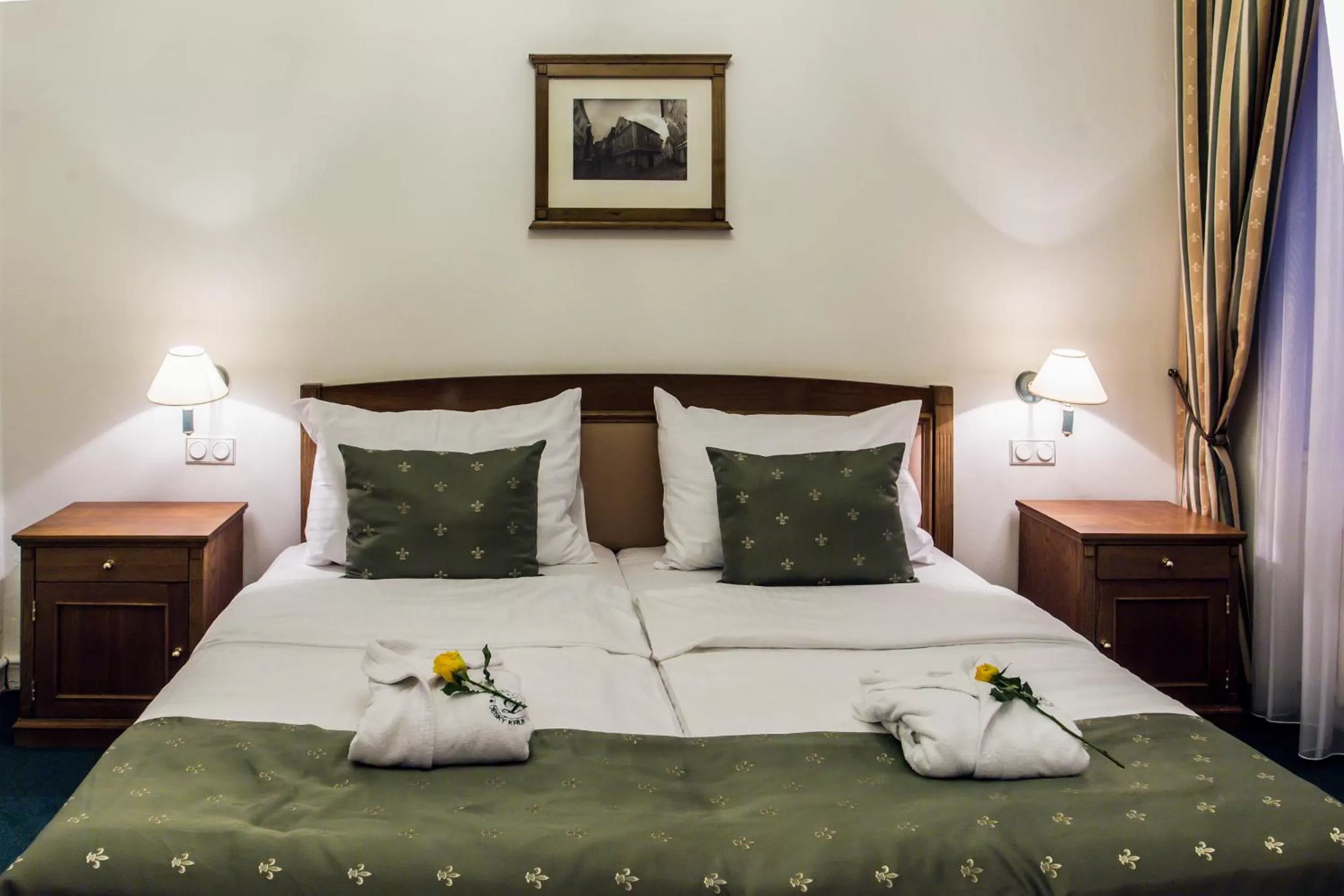 Double Room in Hotel Dvorak Cesky Krumlov