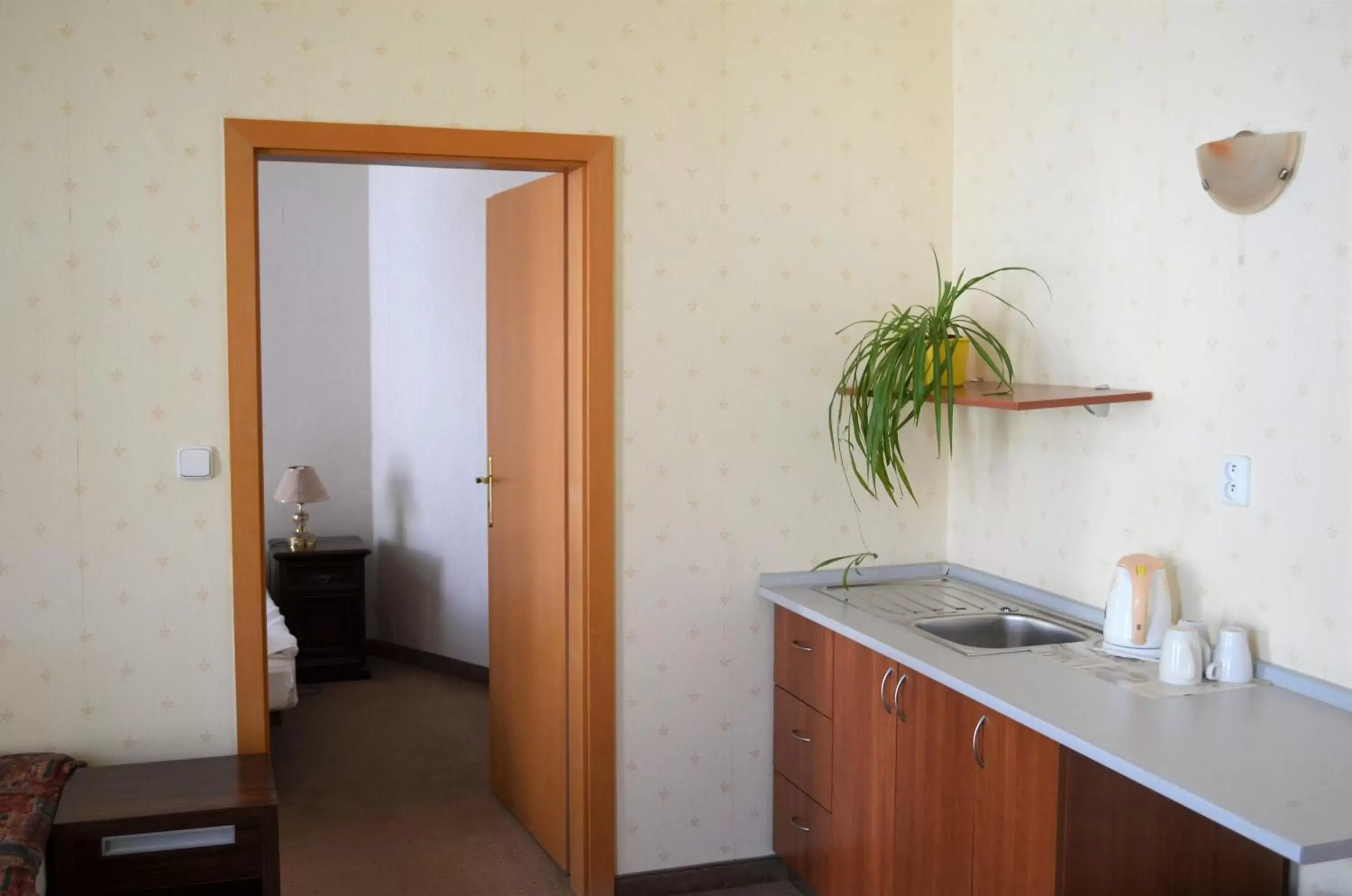 Kitchen or kitchenette, Kitchen/Kitchenette in Hotel Petr