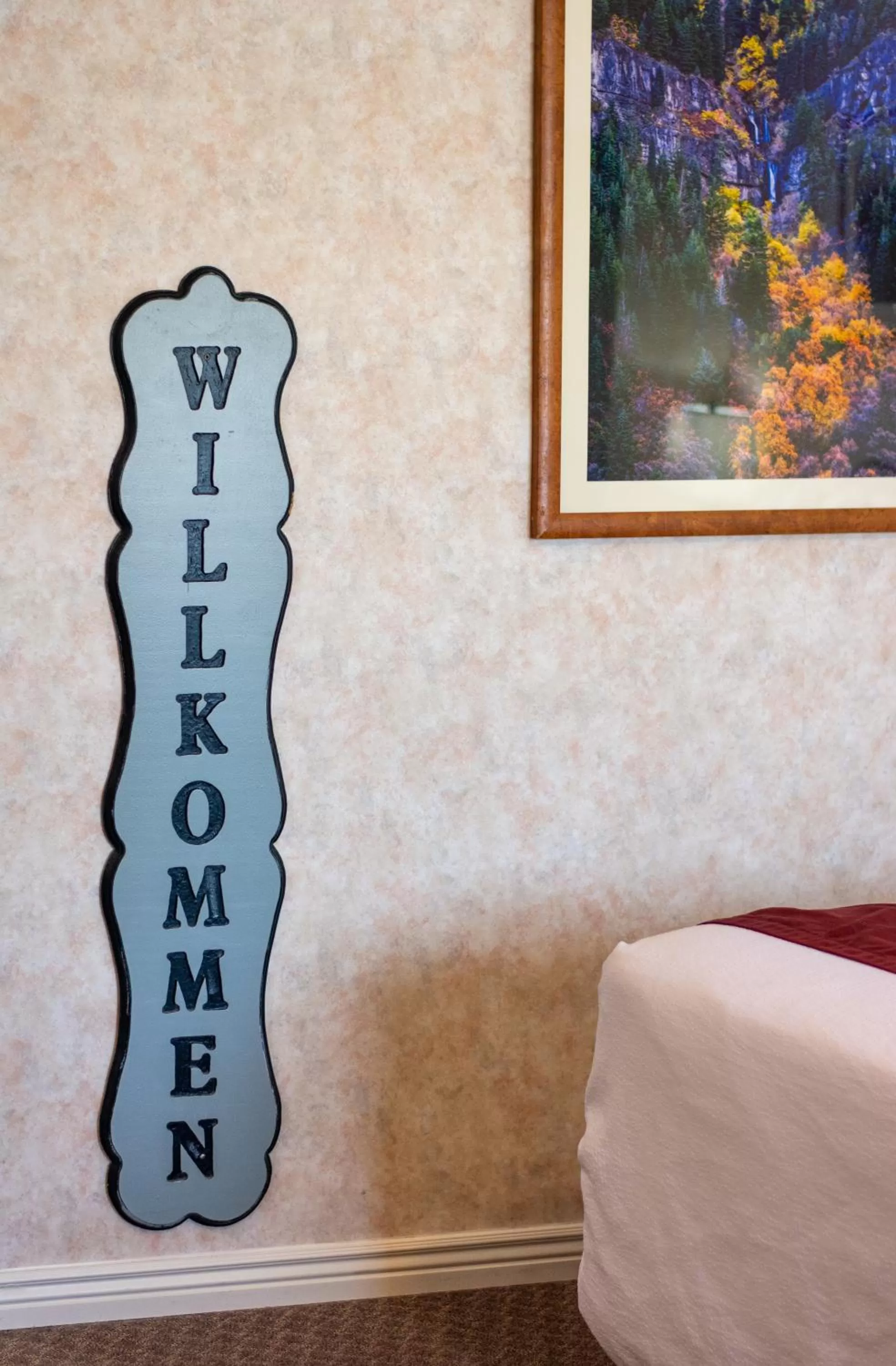 Bed in Swiss Alps Inn