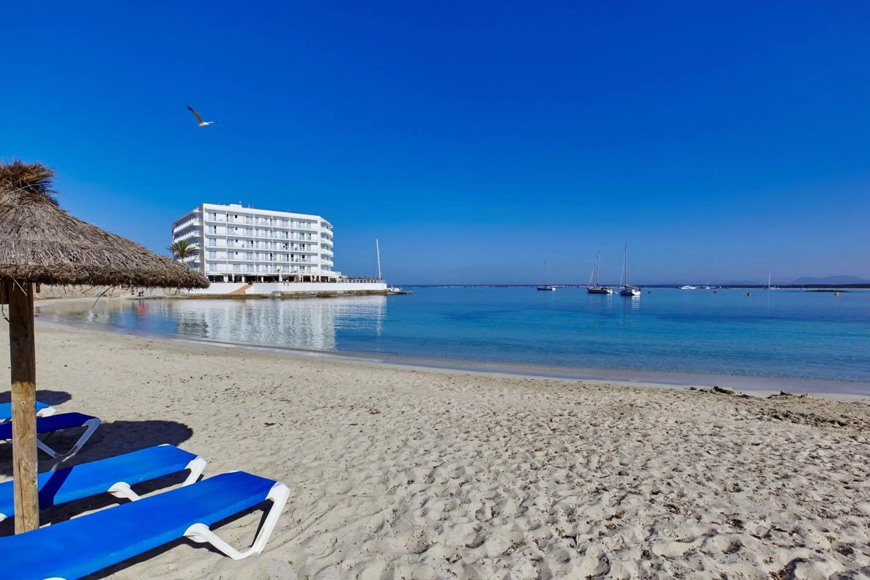 Facade/entrance, Beach in Universal Hotel Marqués