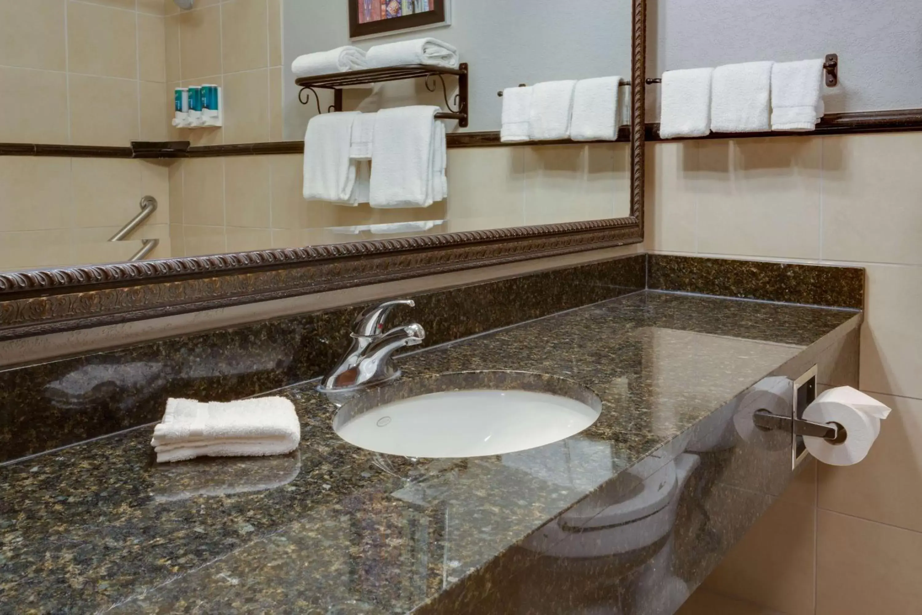 Bathroom in Drury Inn & Suites Las Cruces