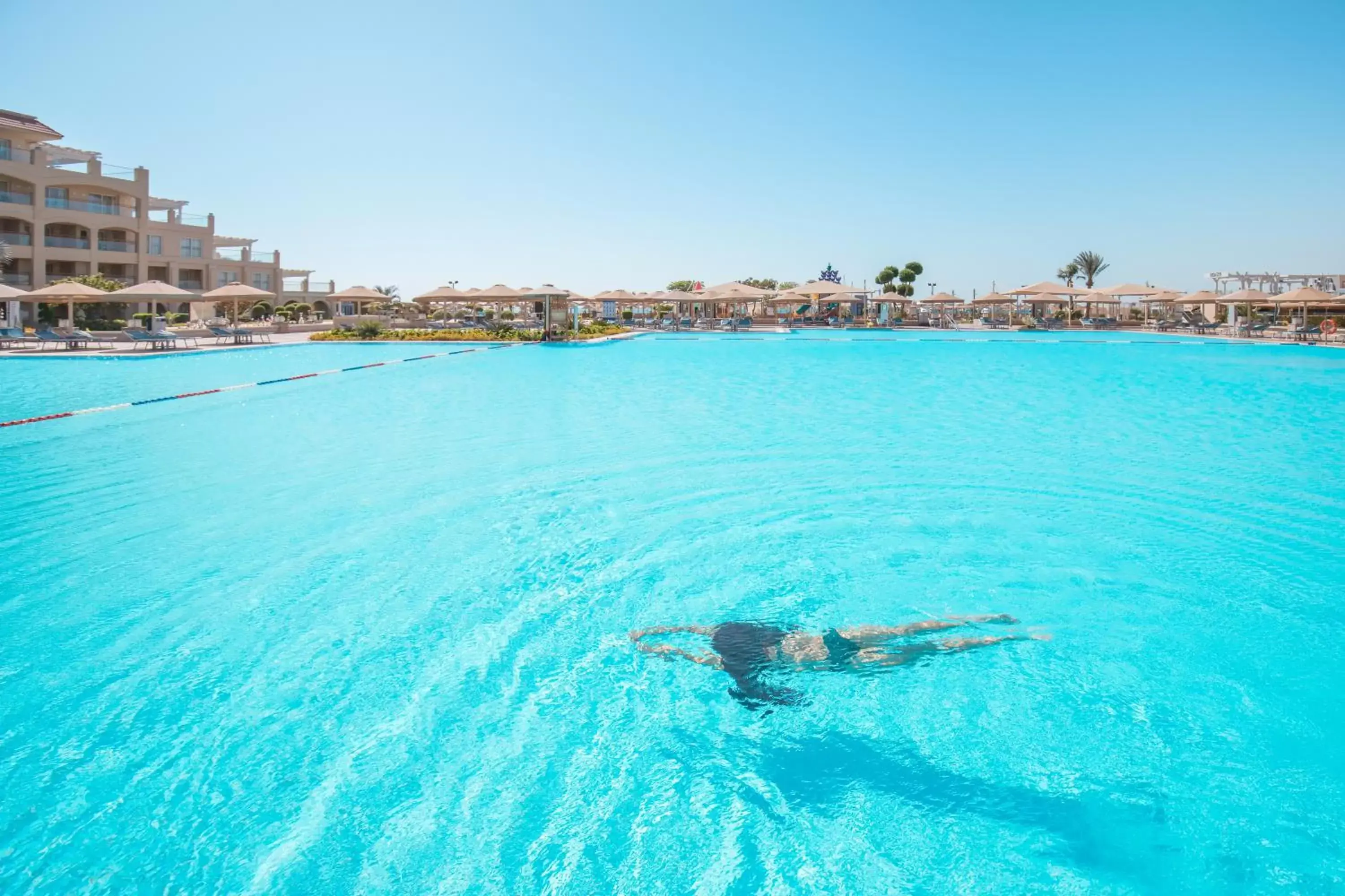 Swimming pool in Pickalbatros White Beach Resort - Hurghada