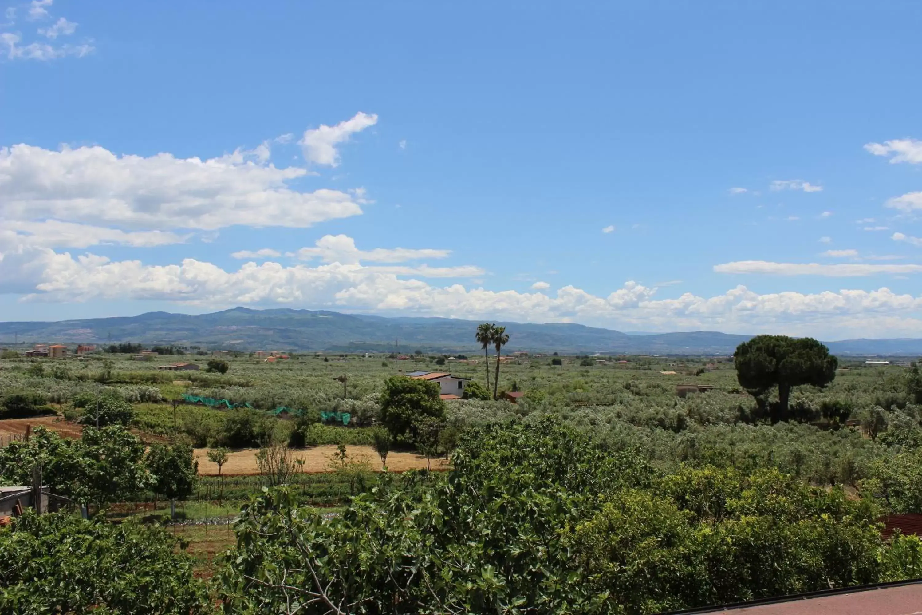 Natural Landscape in B&B La Vigna