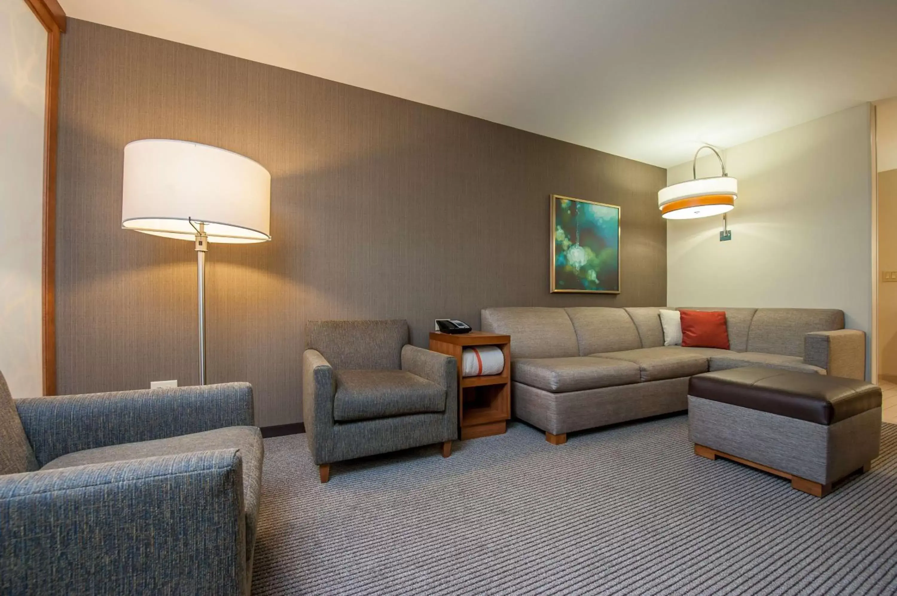 One-Bedroom Suite with Roll-In Shower - Disability Access in Hyatt Place Bowling Green One-Bedroom Suite with Roll-In Shower - Disability Access in Hyatt Place Bowling Green