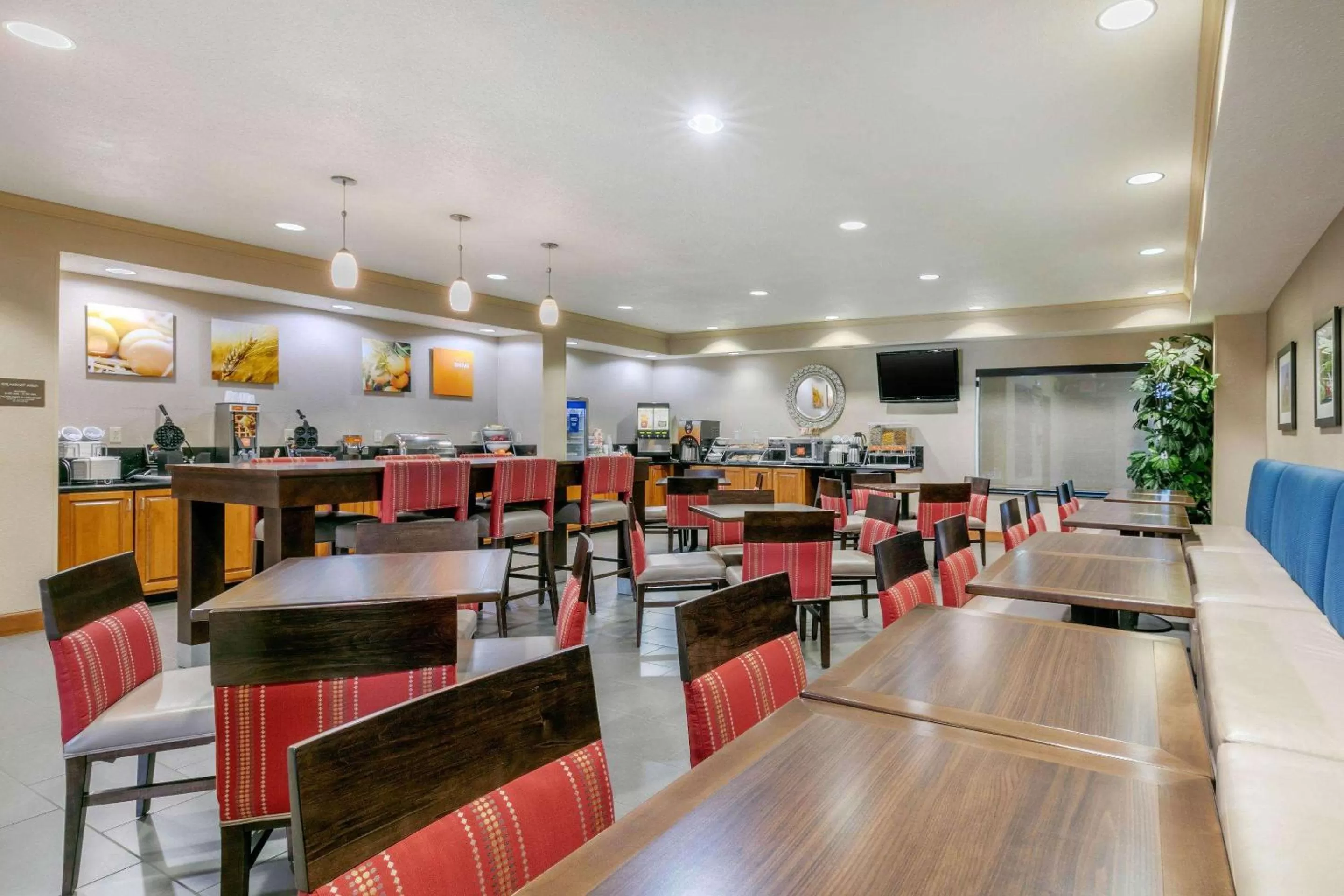 Restaurant/places to eat in Comfort Suites Hopkinsville near Fort Campbell
