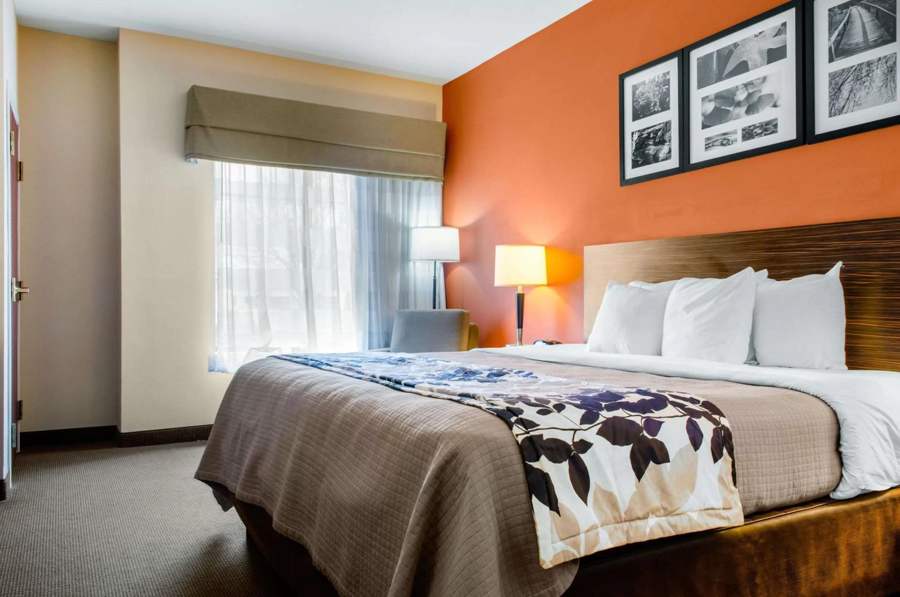 Photo of the whole room, Bed in Sleep Inn & Suites East Chase