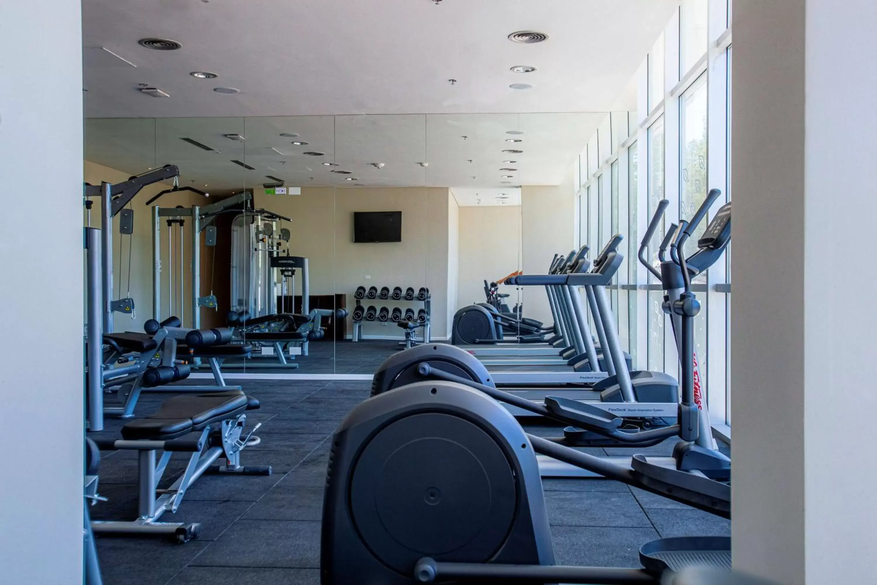 Fitness centre/facilities, Fitness Center/Facilities in Hilton Garden Inn Neuquen