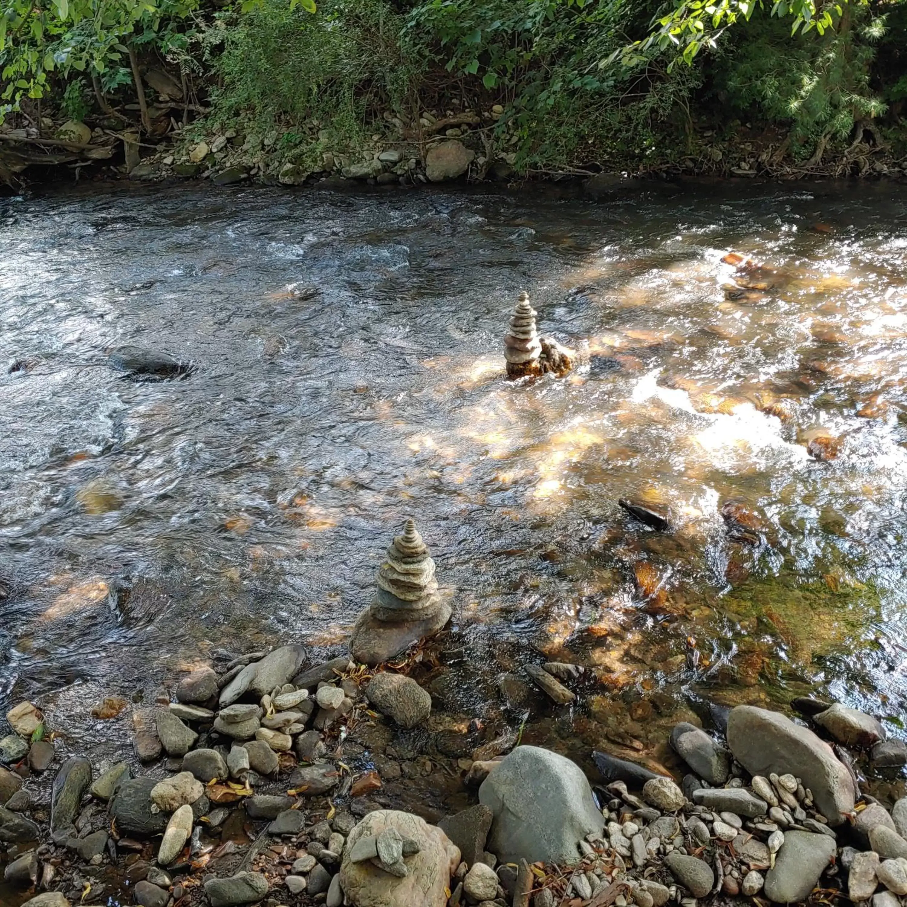 Other Animals in Rolling Brook Inn