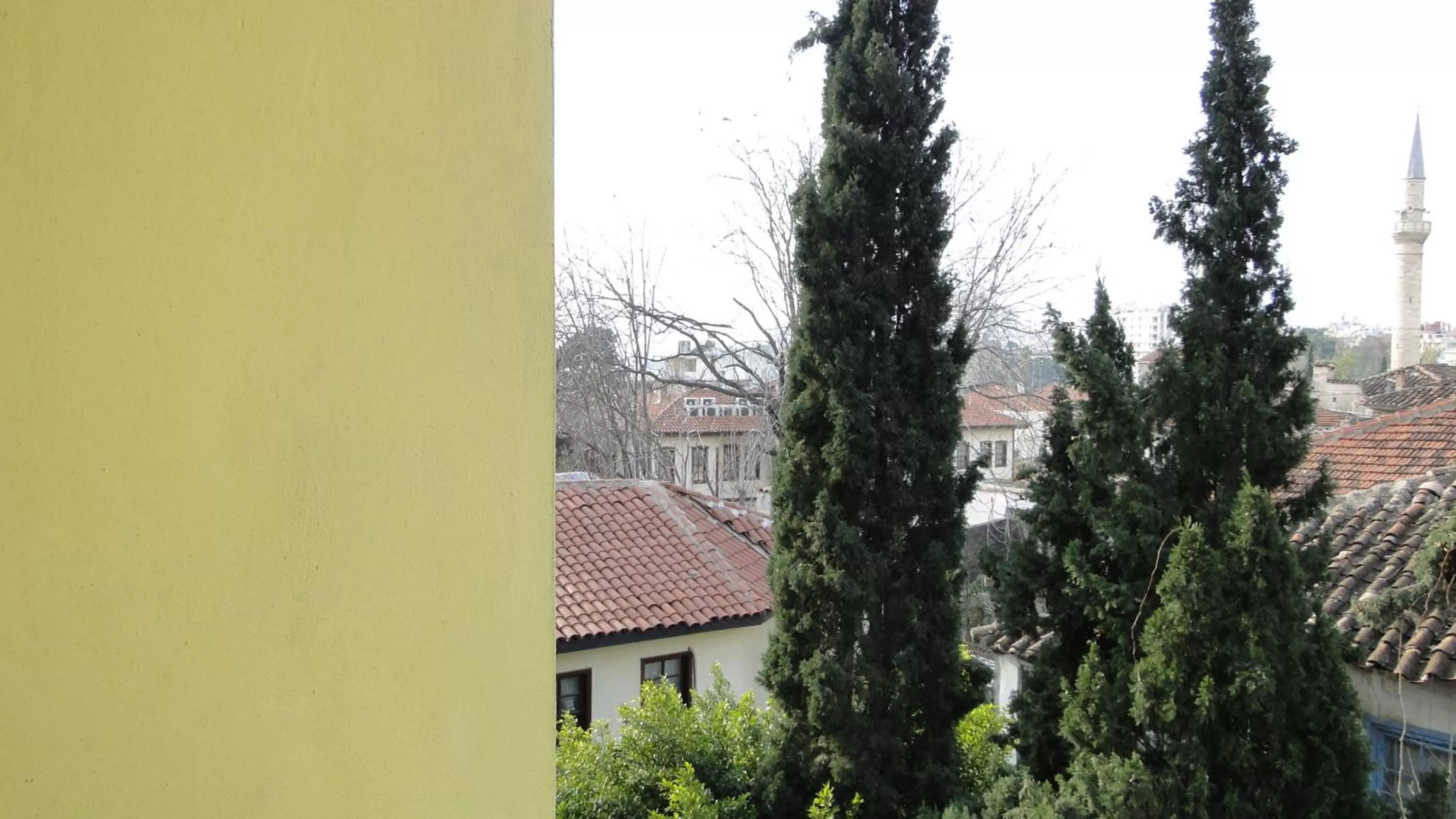 Day in Sunrise Hotel