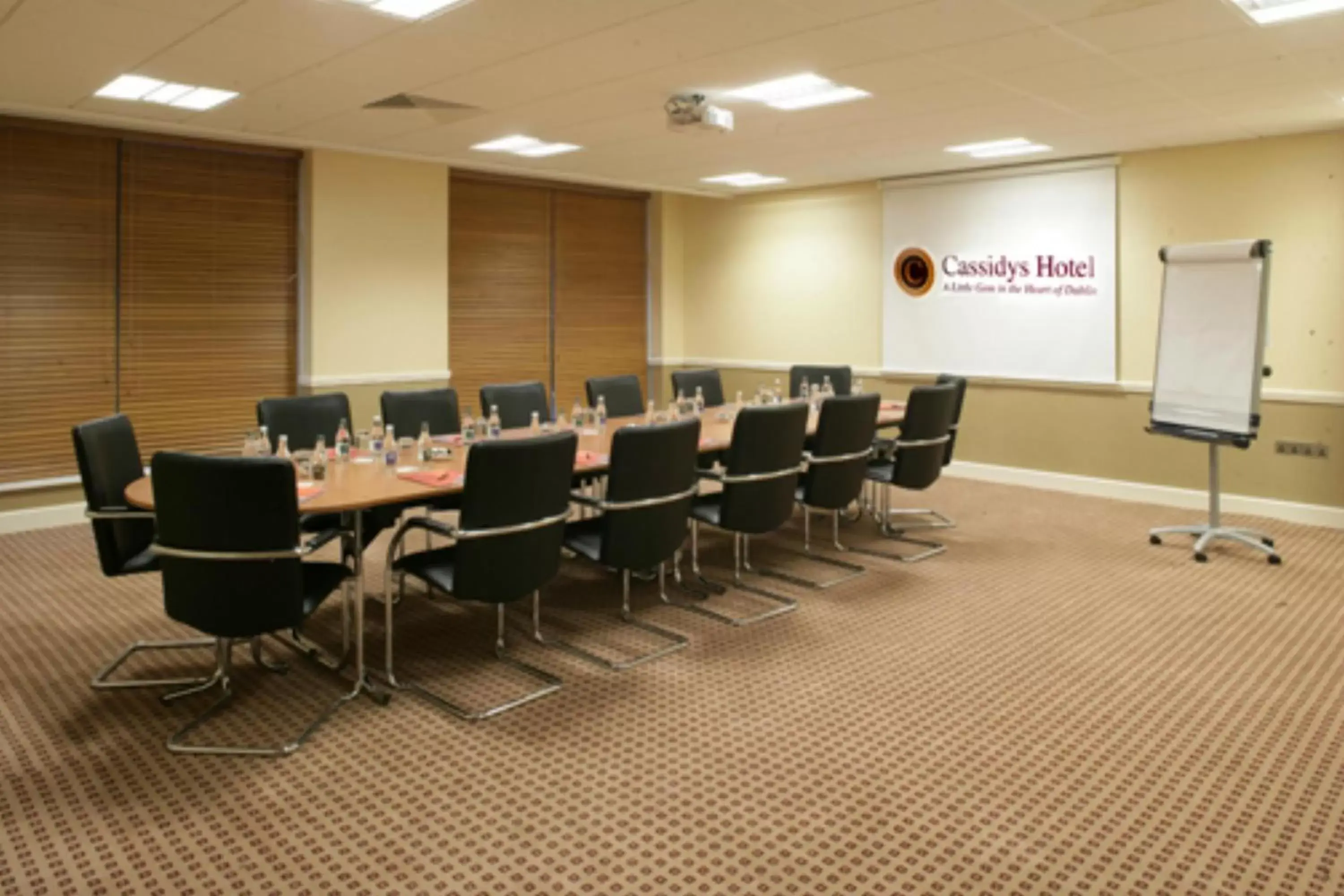 Business facilities in Cassidys Hotel