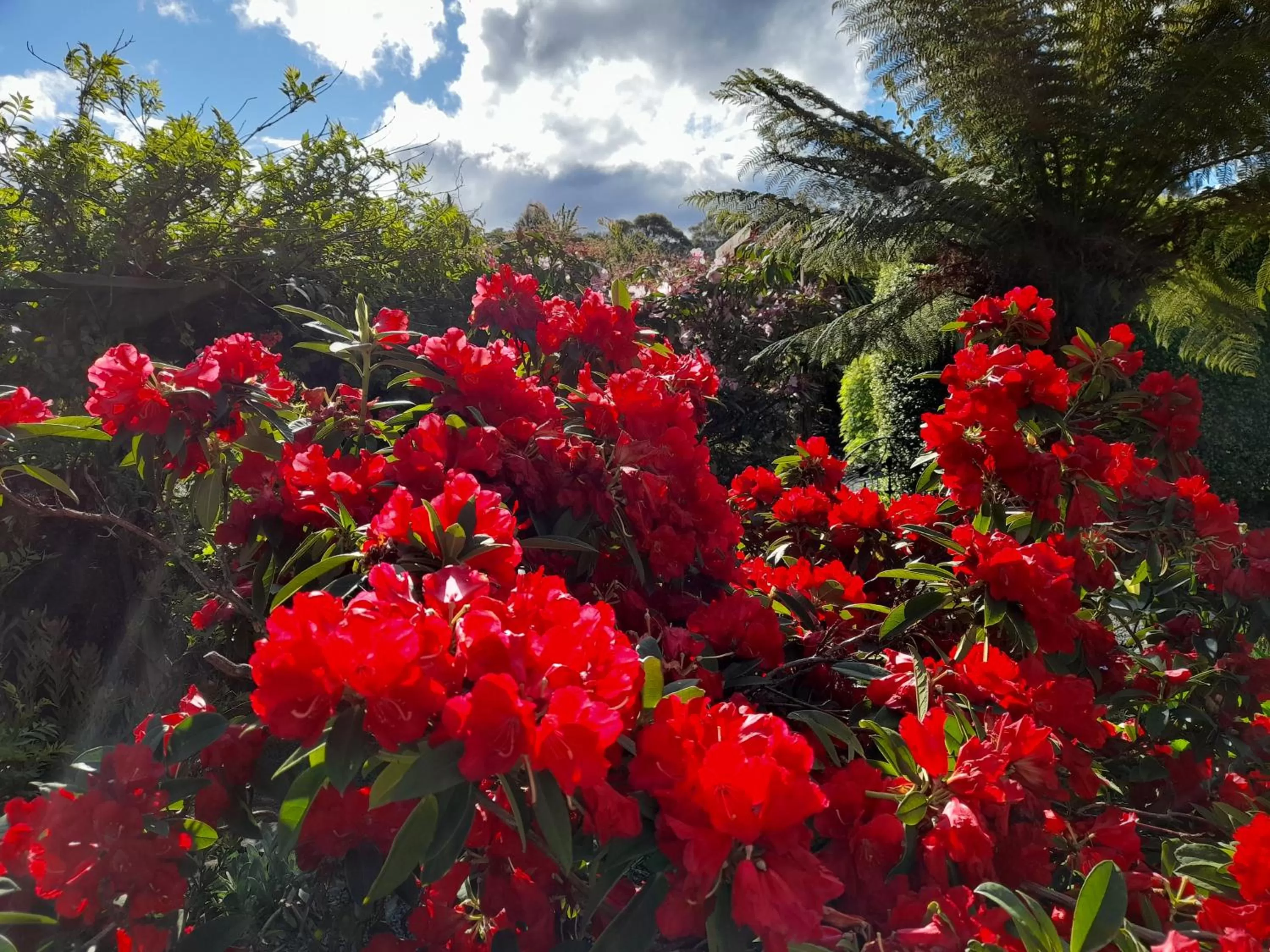 Hillside Bed and Breakfast