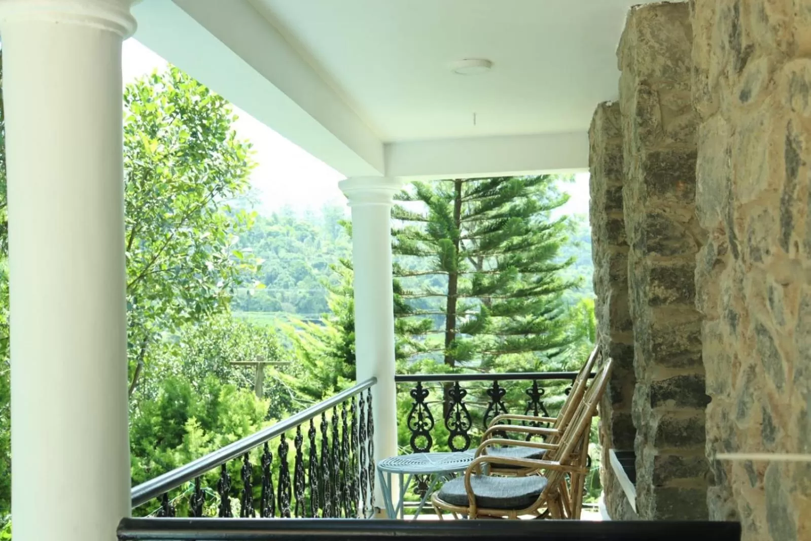 Garden view in Chithirapuram Palace