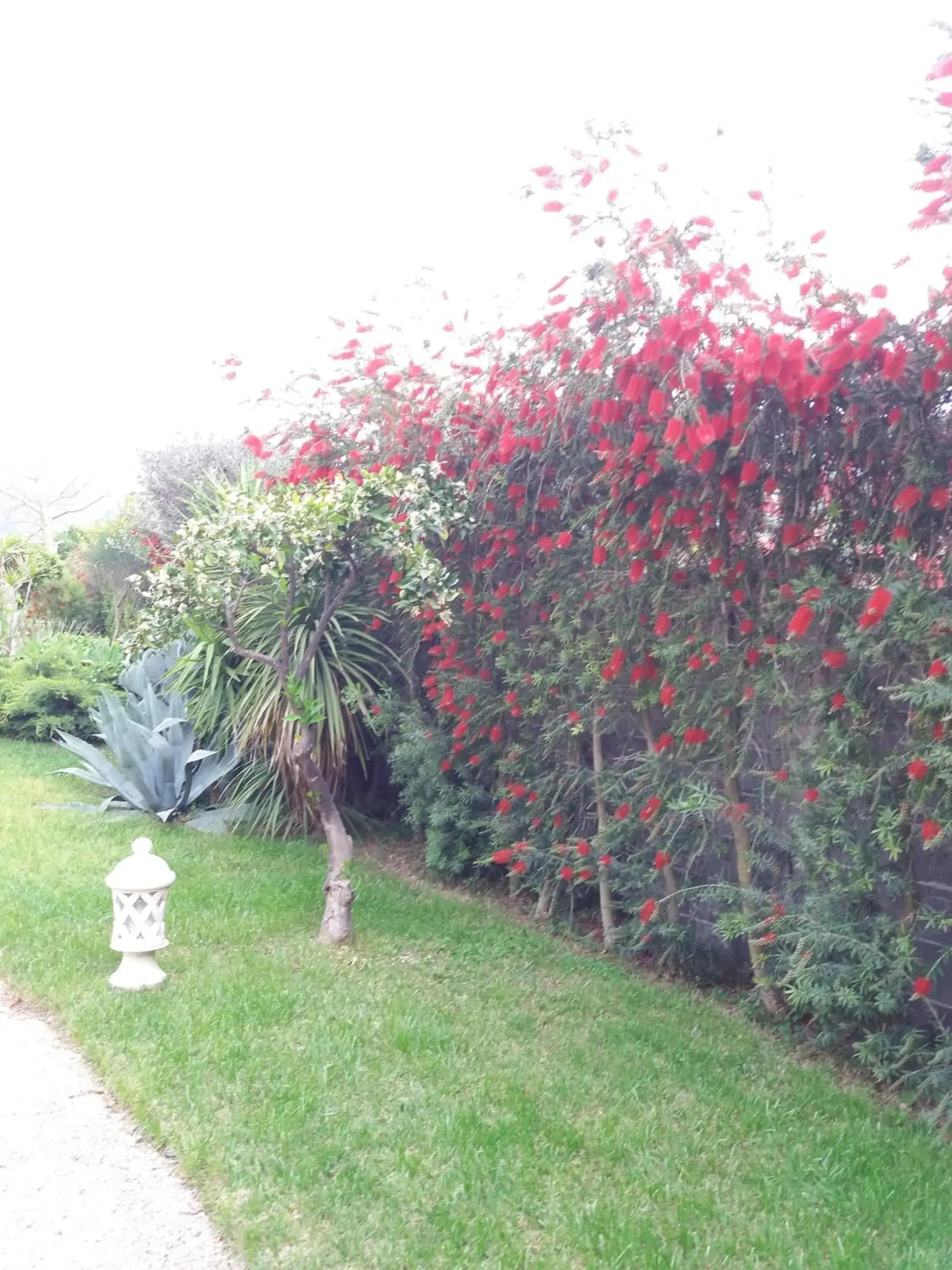 Swimming pool, Garden in Alcantara Resort di Charme