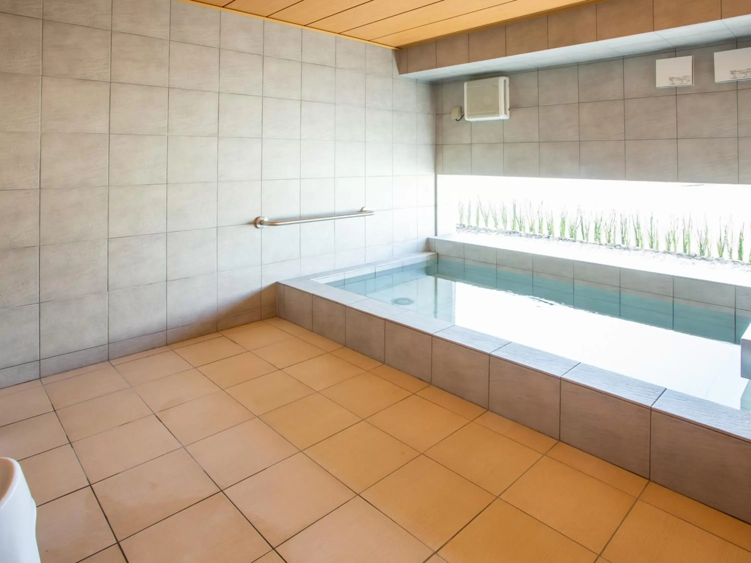 Public Bath, Swimming Pool in Kuretake Inn Premium Fukuroi Ekimae