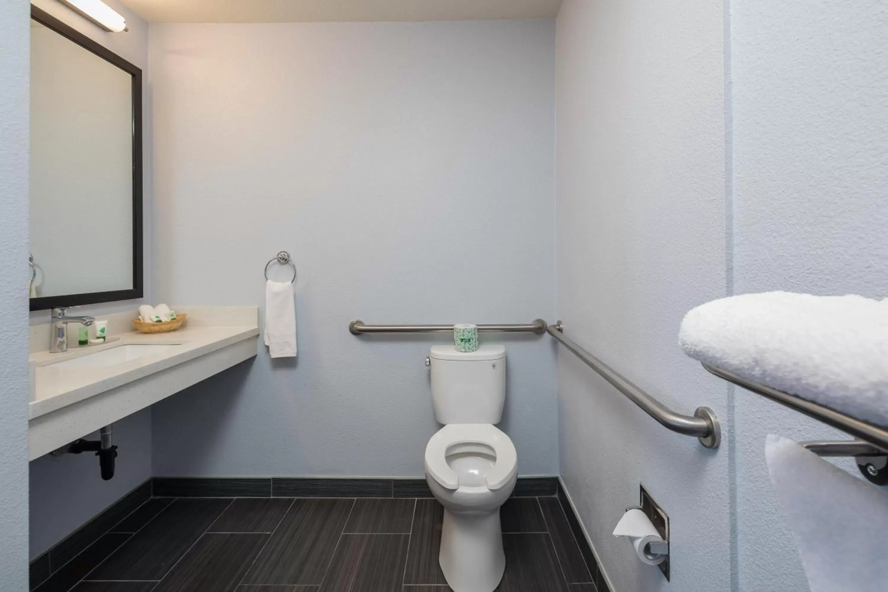 Toilet, Bathroom in Silicon Valley Inn