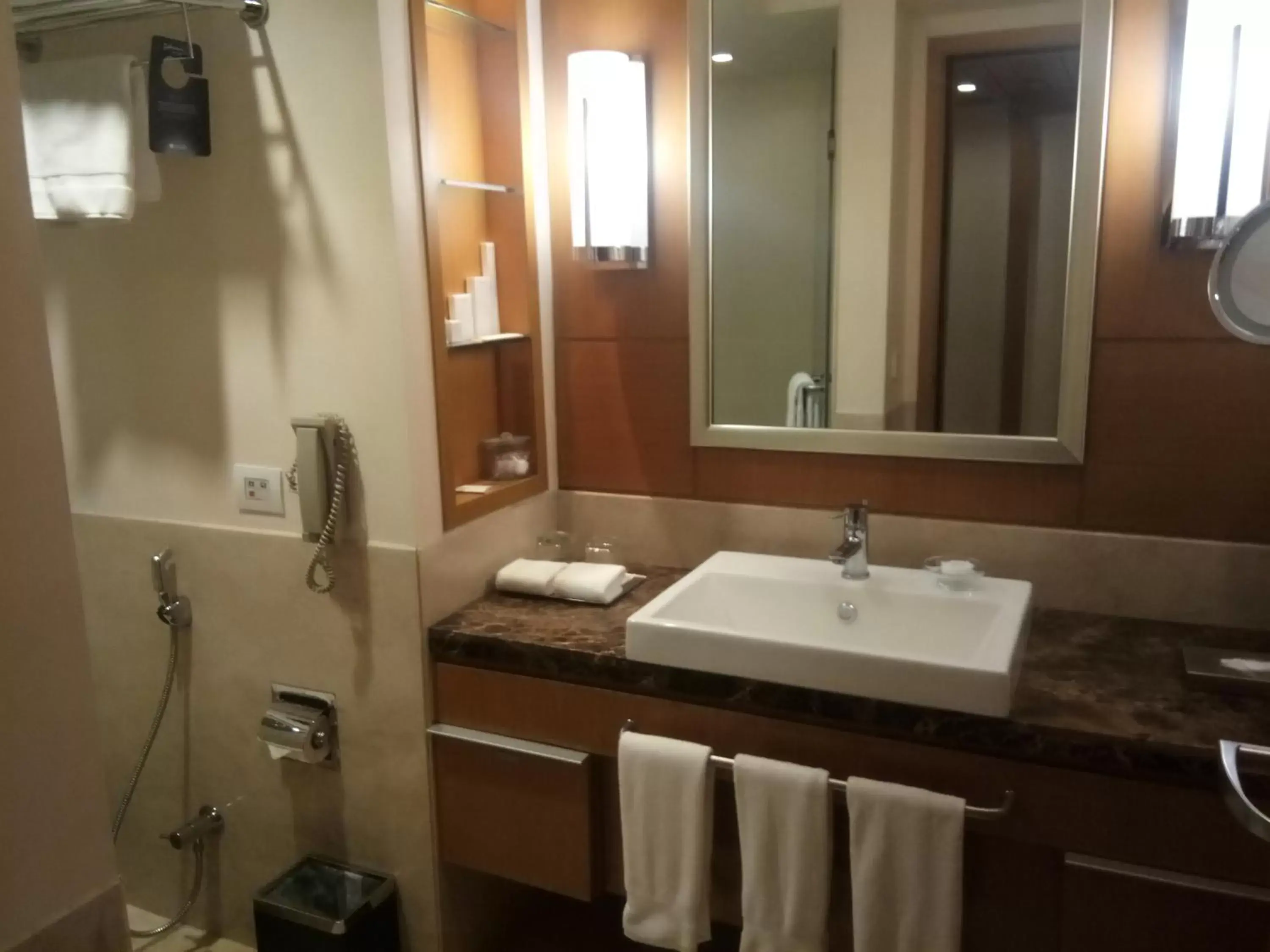 Bath, Bathroom in Radisson Blu Hotel, Nagpur