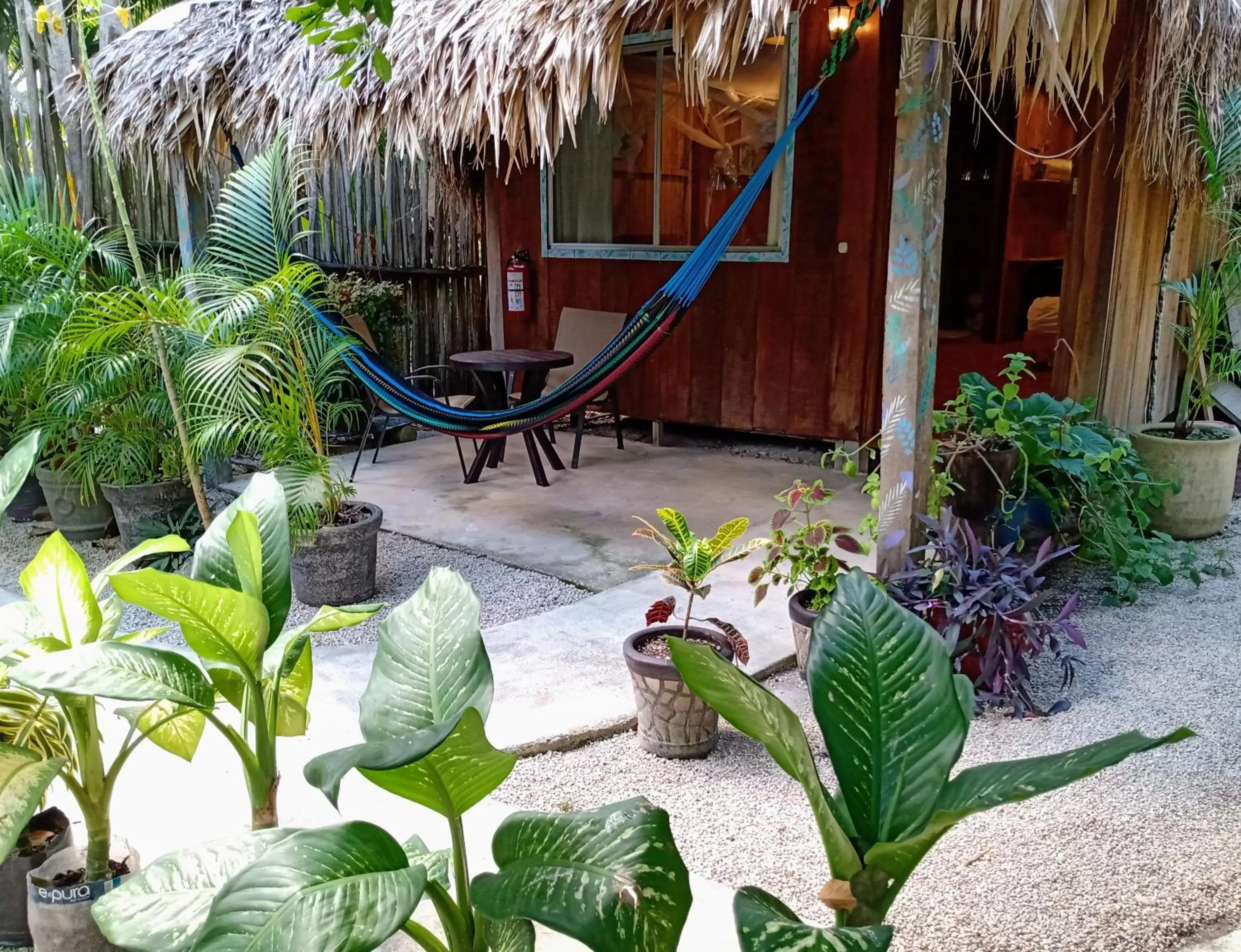 Hotel & Suites Oasis Bacalar