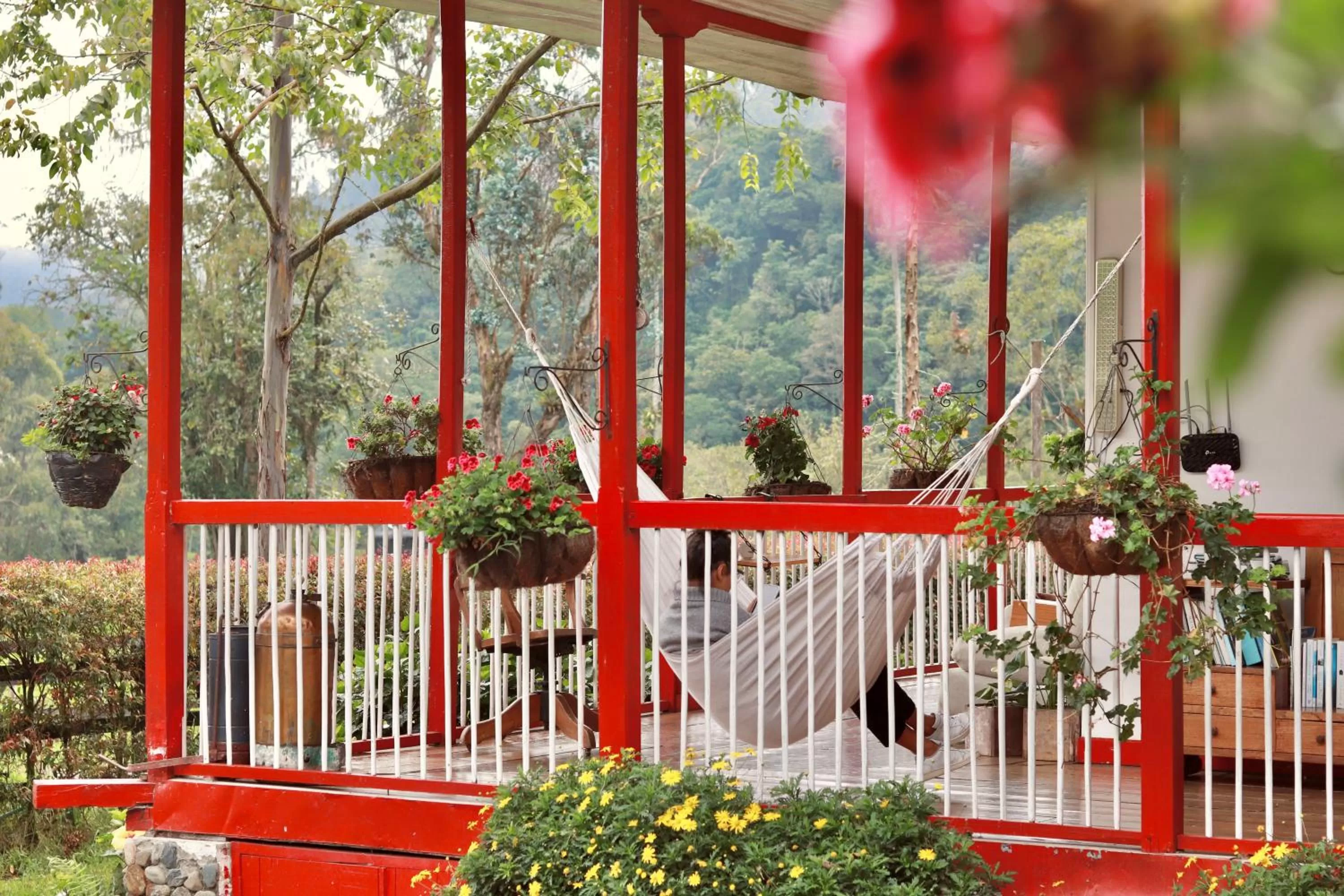 Property building in La Cabaña Ecohotel - Valle del Cocora