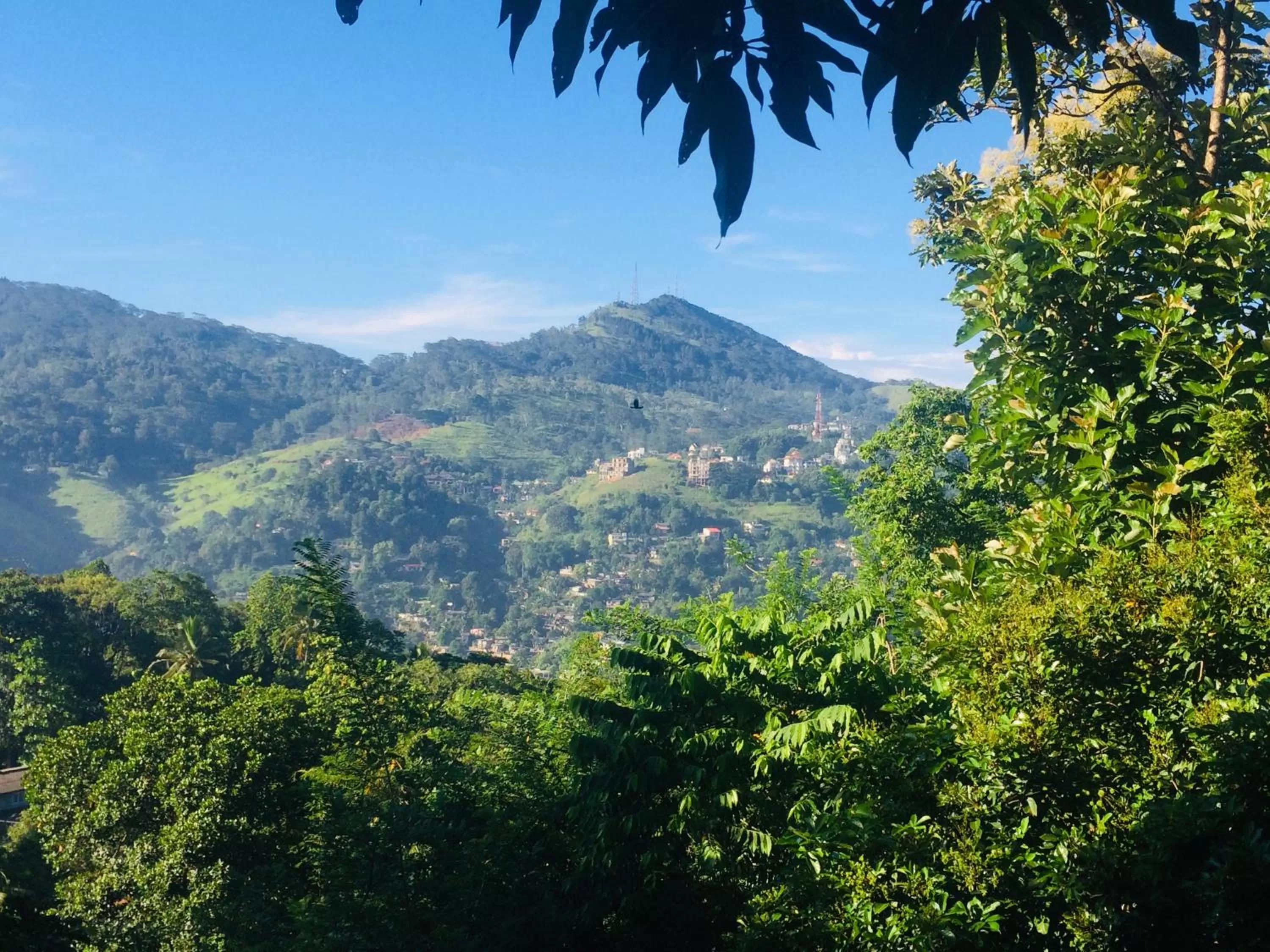 Mountain view in Selyna Sky Terrace