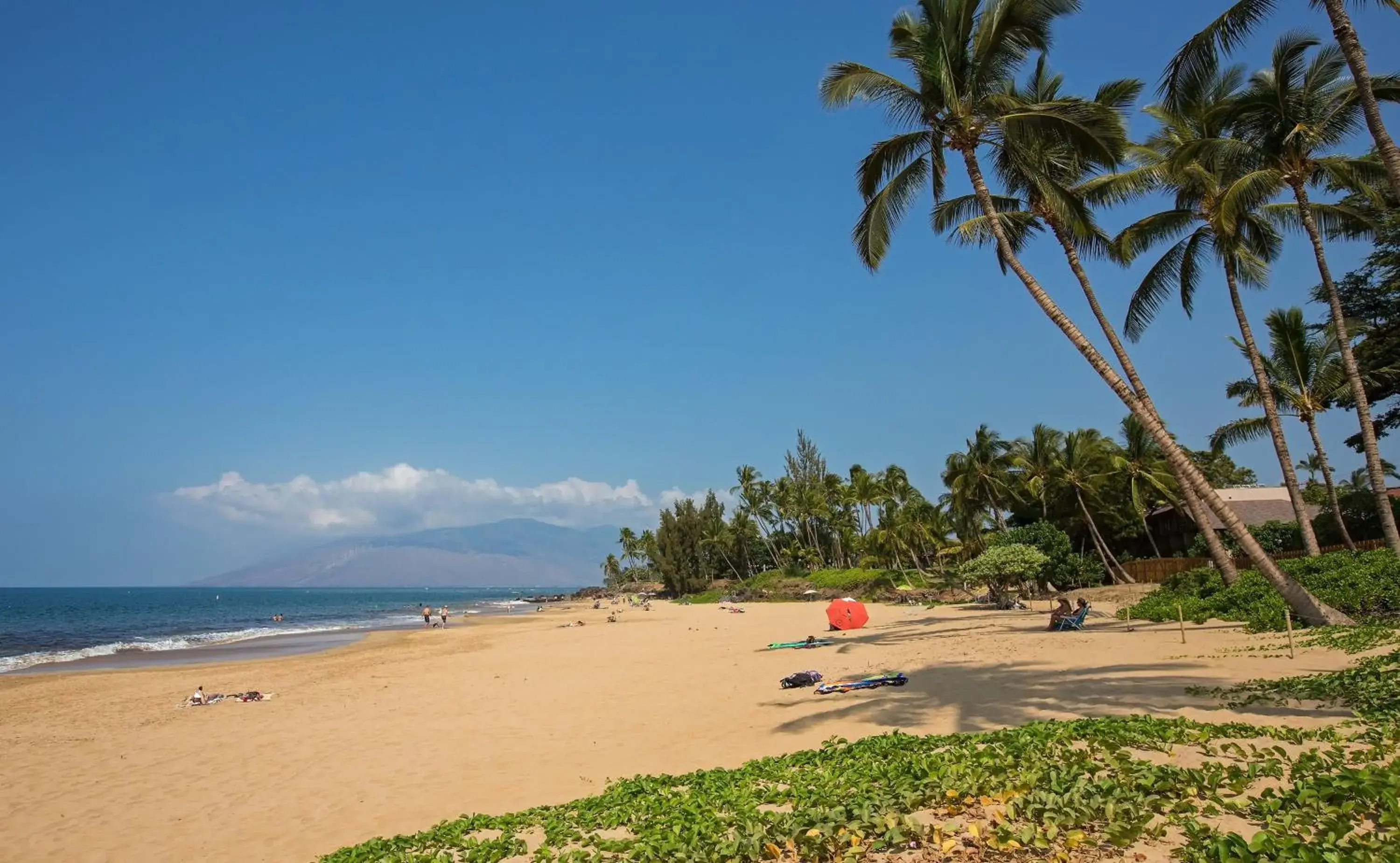 Area and facilities, Beach in Maui Coast Hotel
