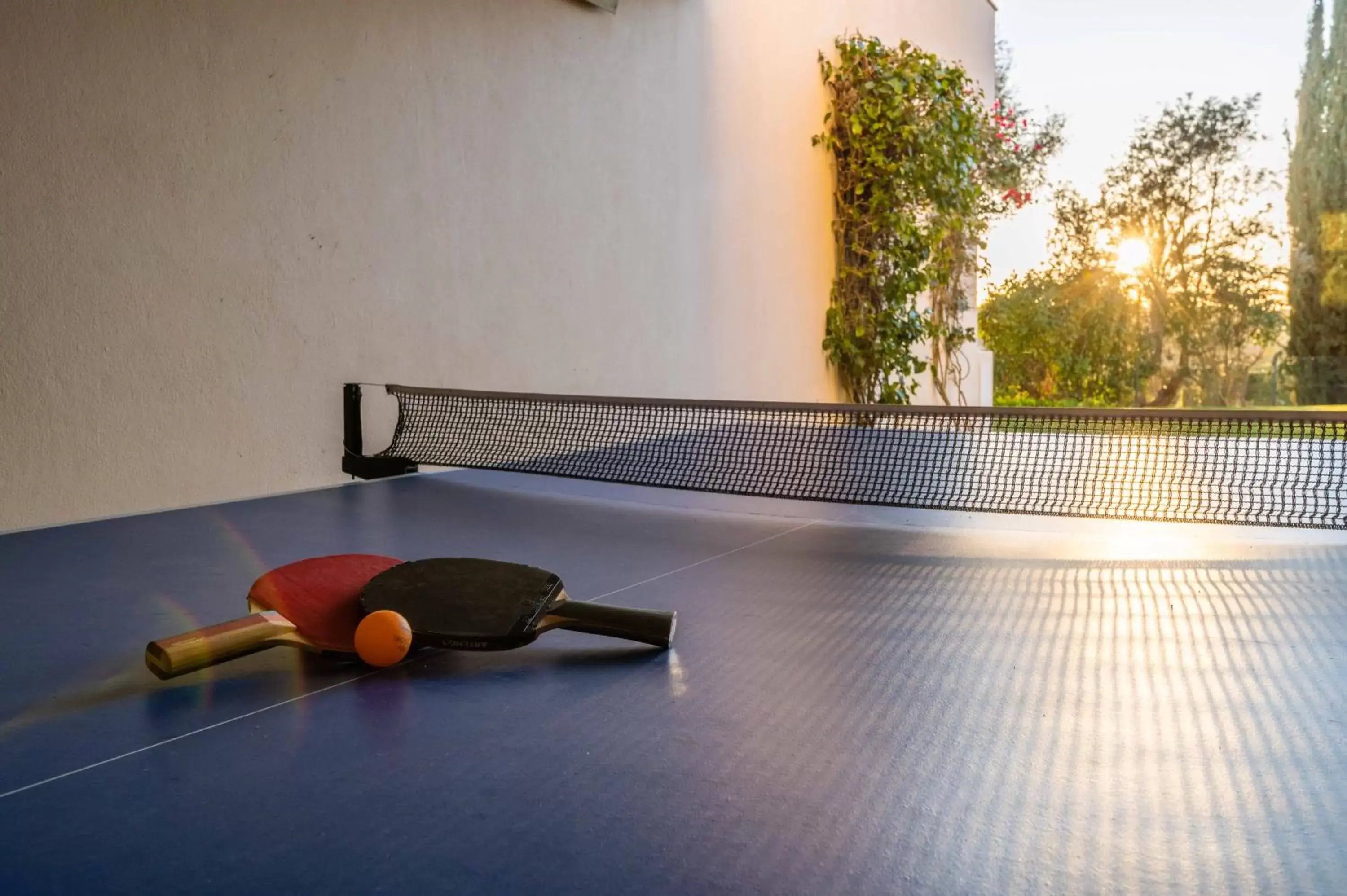Table tennis in Vale d'Oliveiras Quinta Resort & Spa