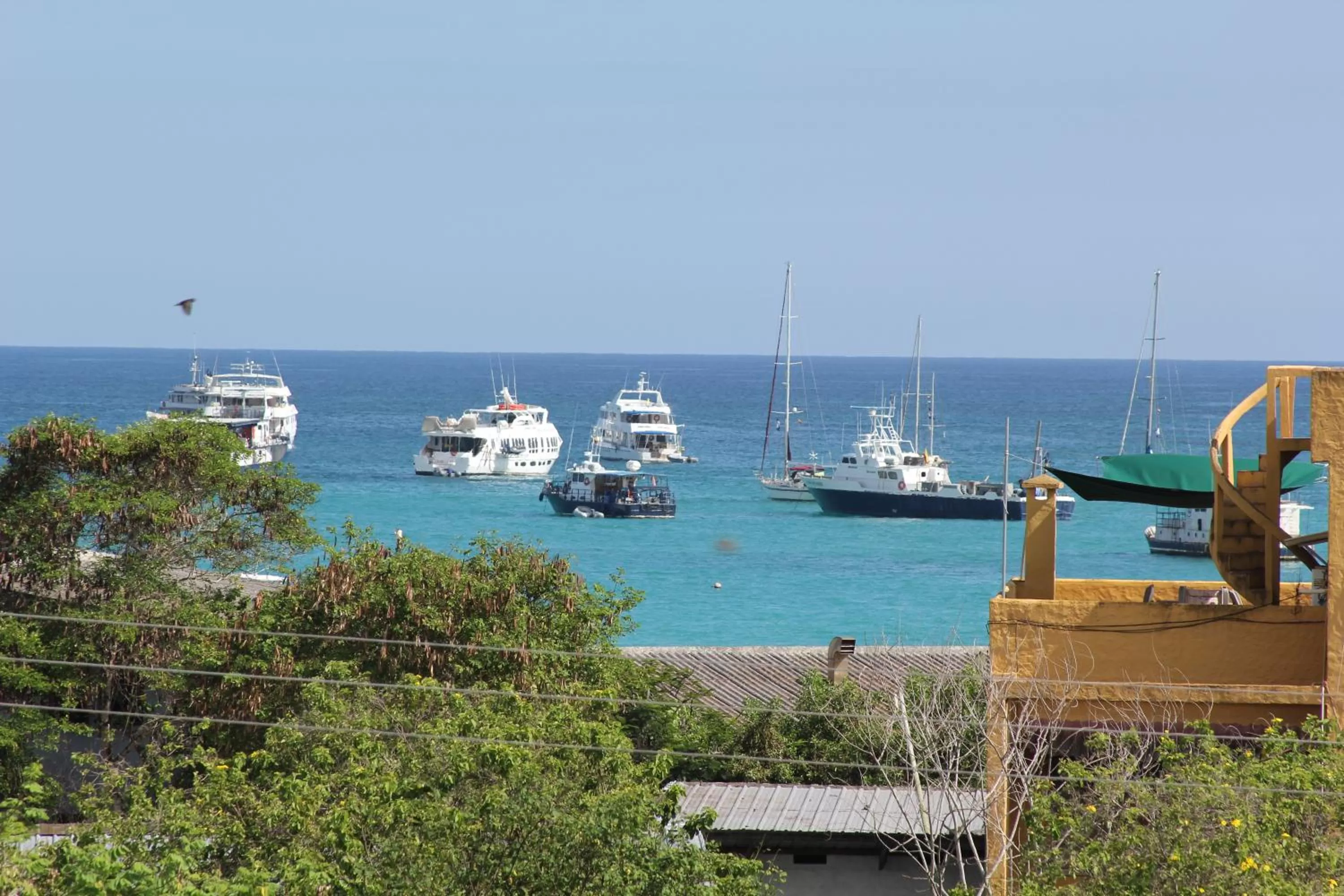 Sea view in The Galapagos Pearl B&B