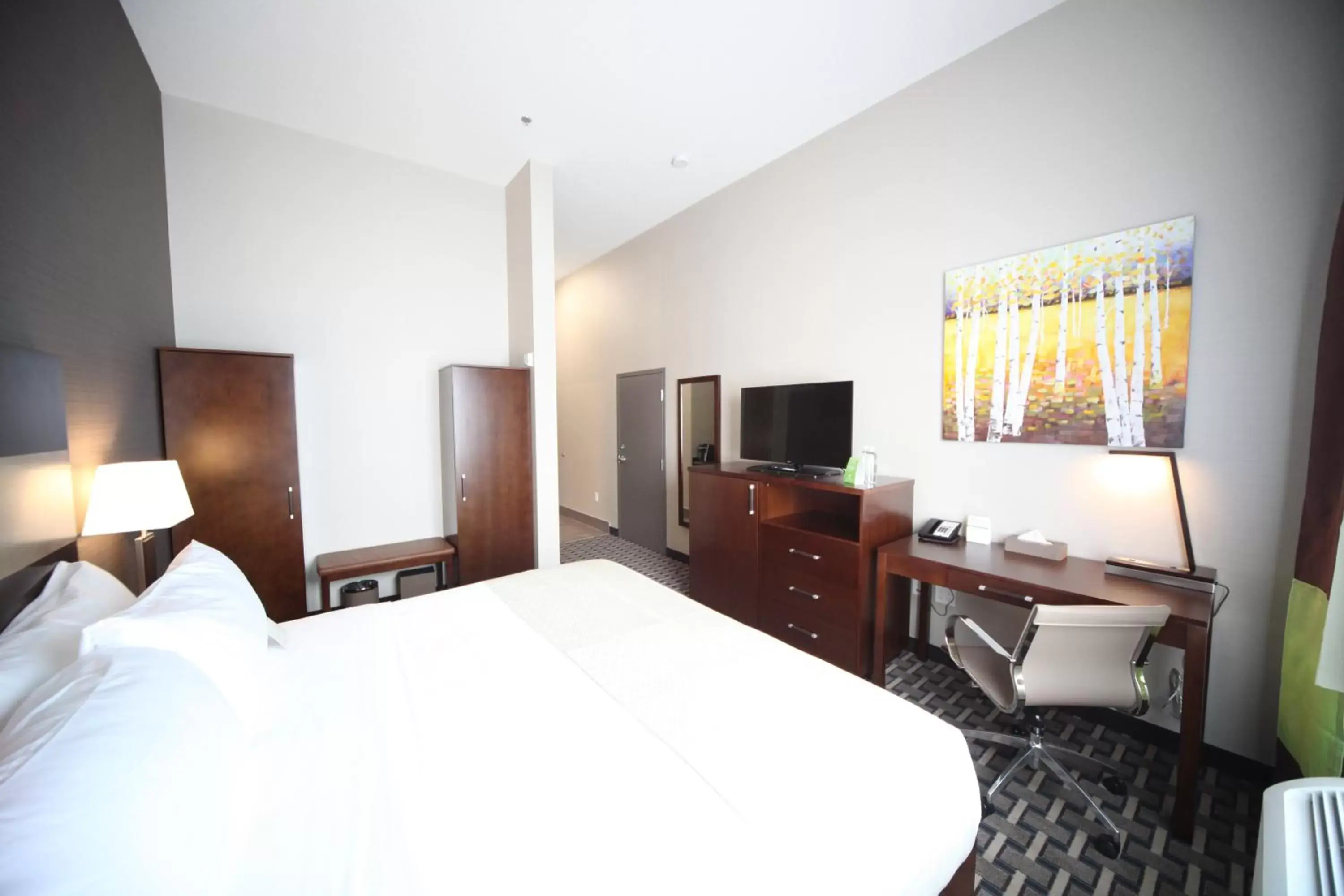 Bed, TV/Entertainment Center in Wyndham Garden Edmonton Airport