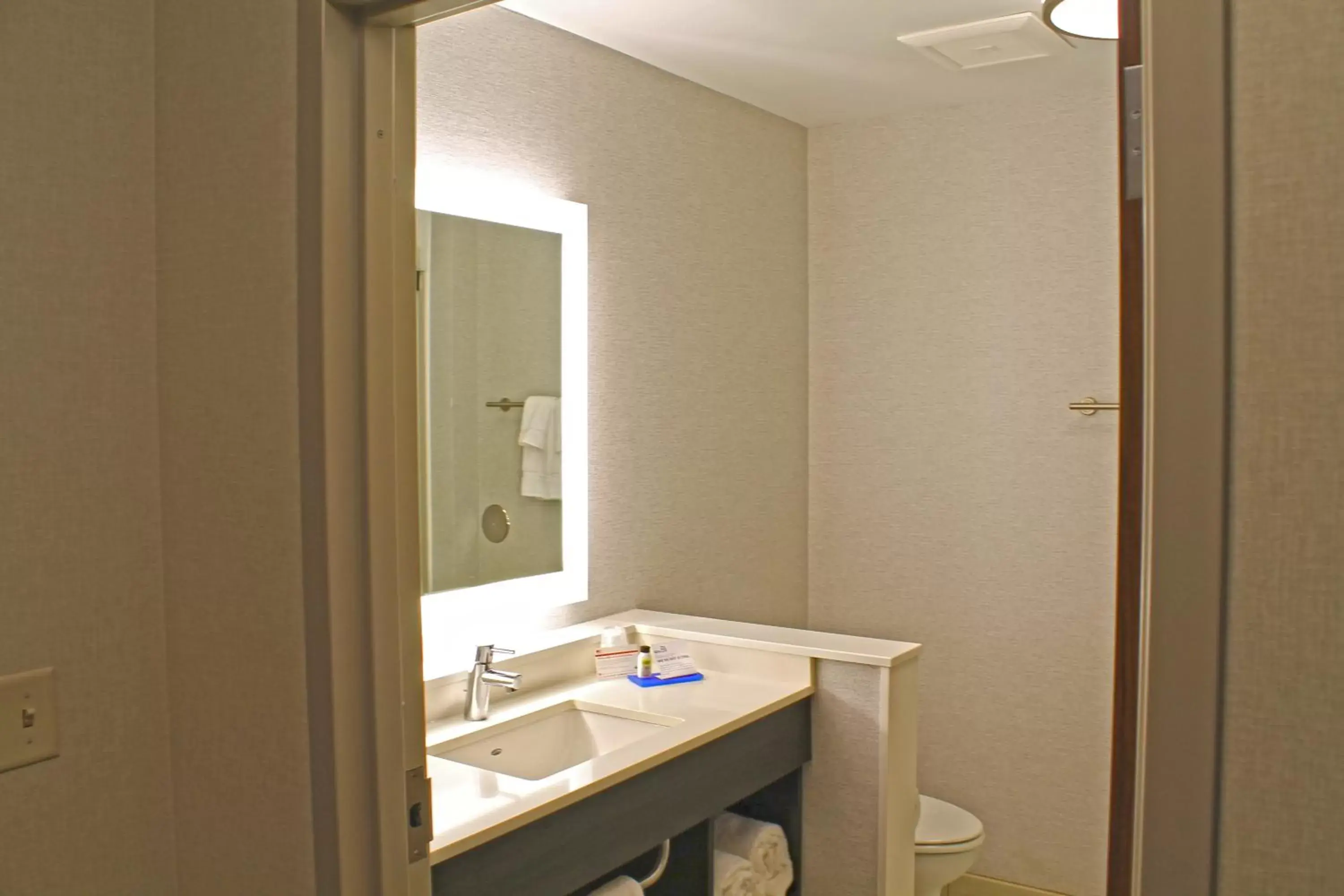 Bathroom in Holiday Inn Express & Suites - St. Louis South - I-55, an IHG Hotel