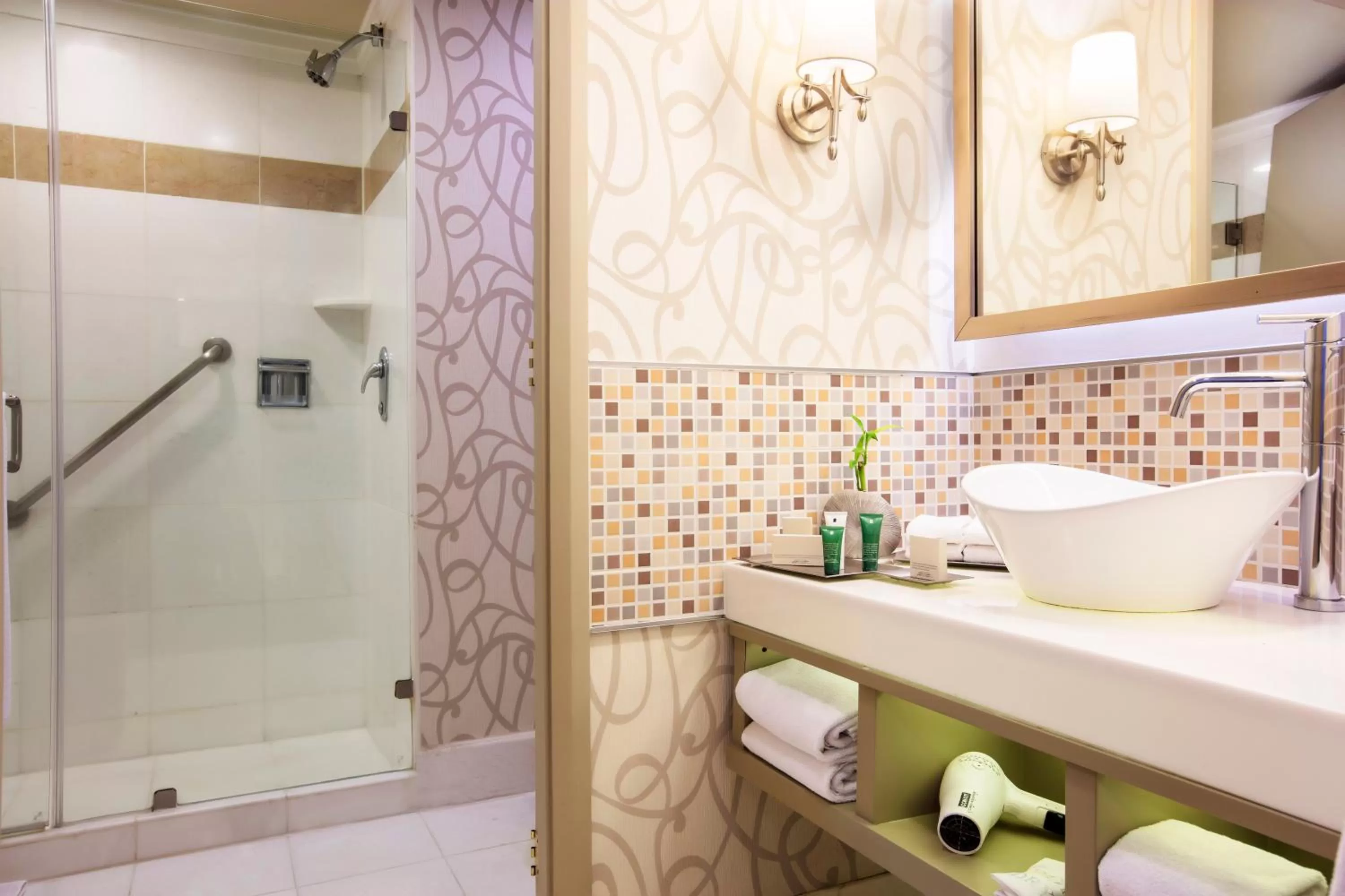 Bathroom in Barcelo Guadalajara