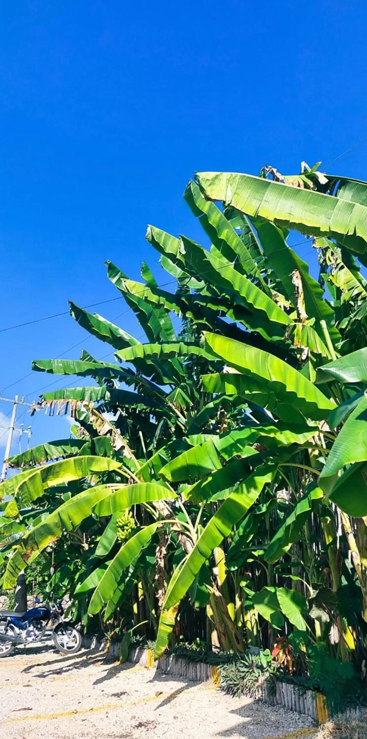 Facade/entrance in Hotel Xa´an Bacalar