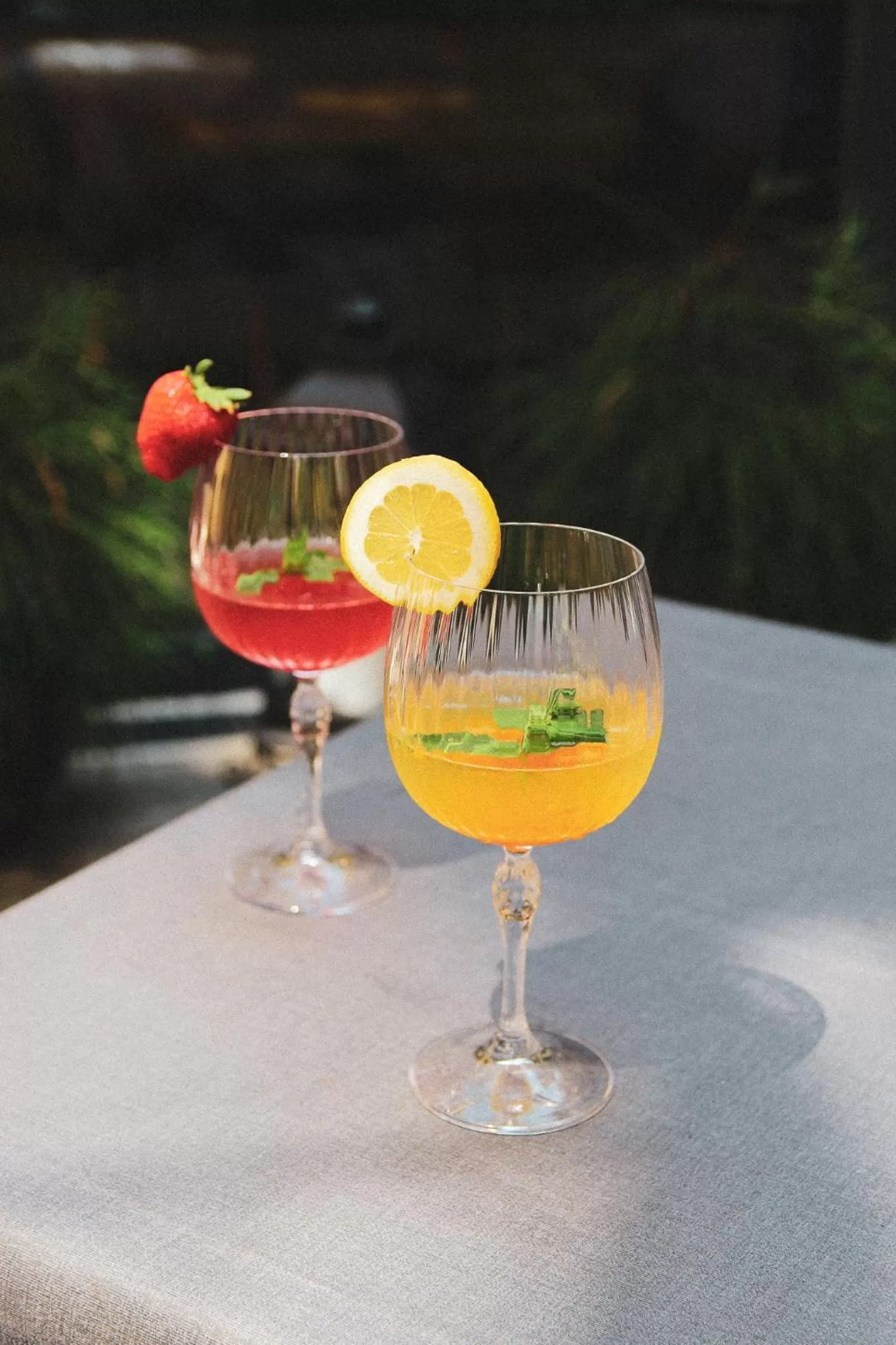 Alcoholic drinks in Operna klet Ljubljana