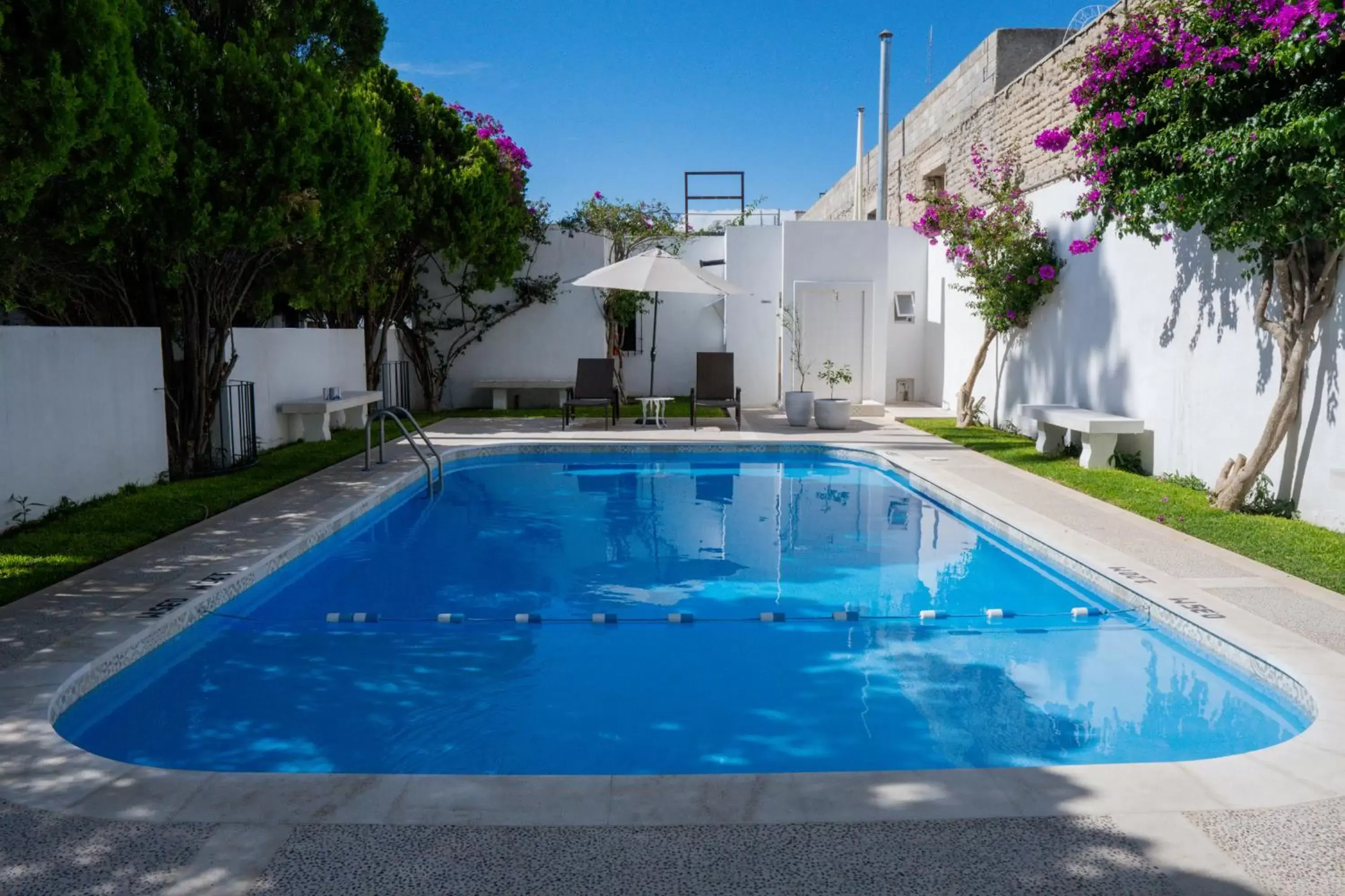 Swimming Pool in Hotel El Farol