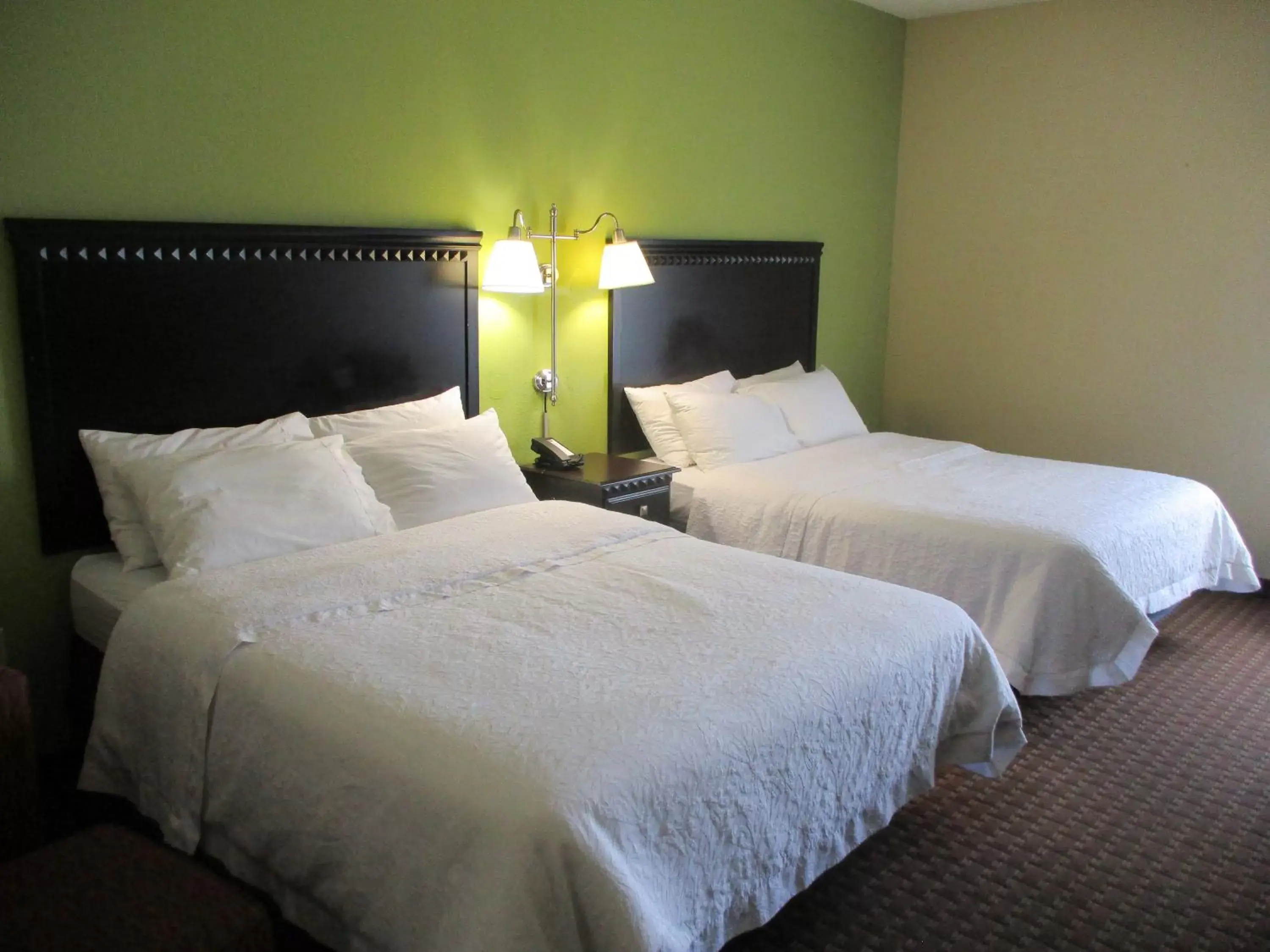 Bedroom, Bed in Motel 6-Conway, AR