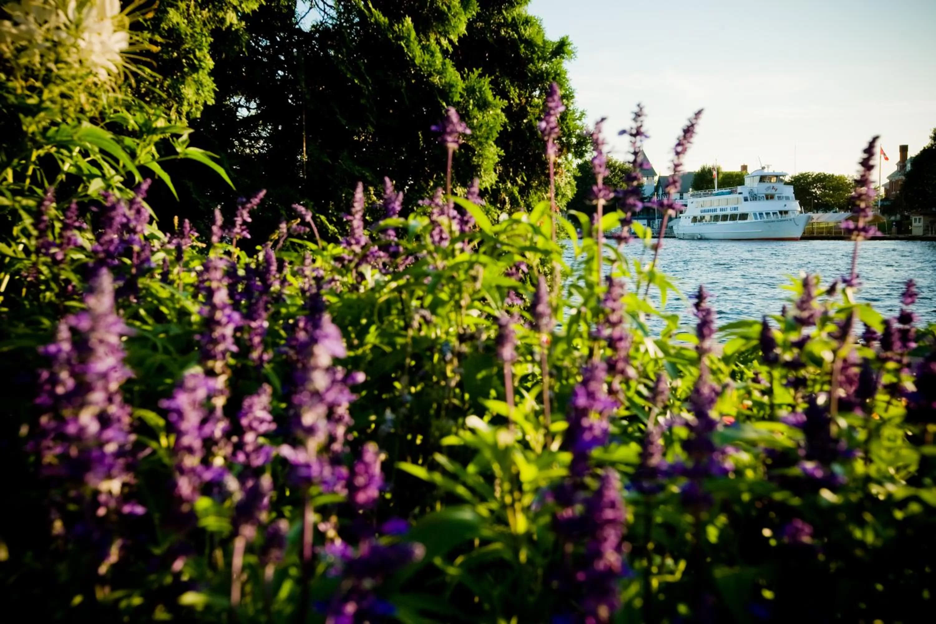 Garden in The Gananoque Inn