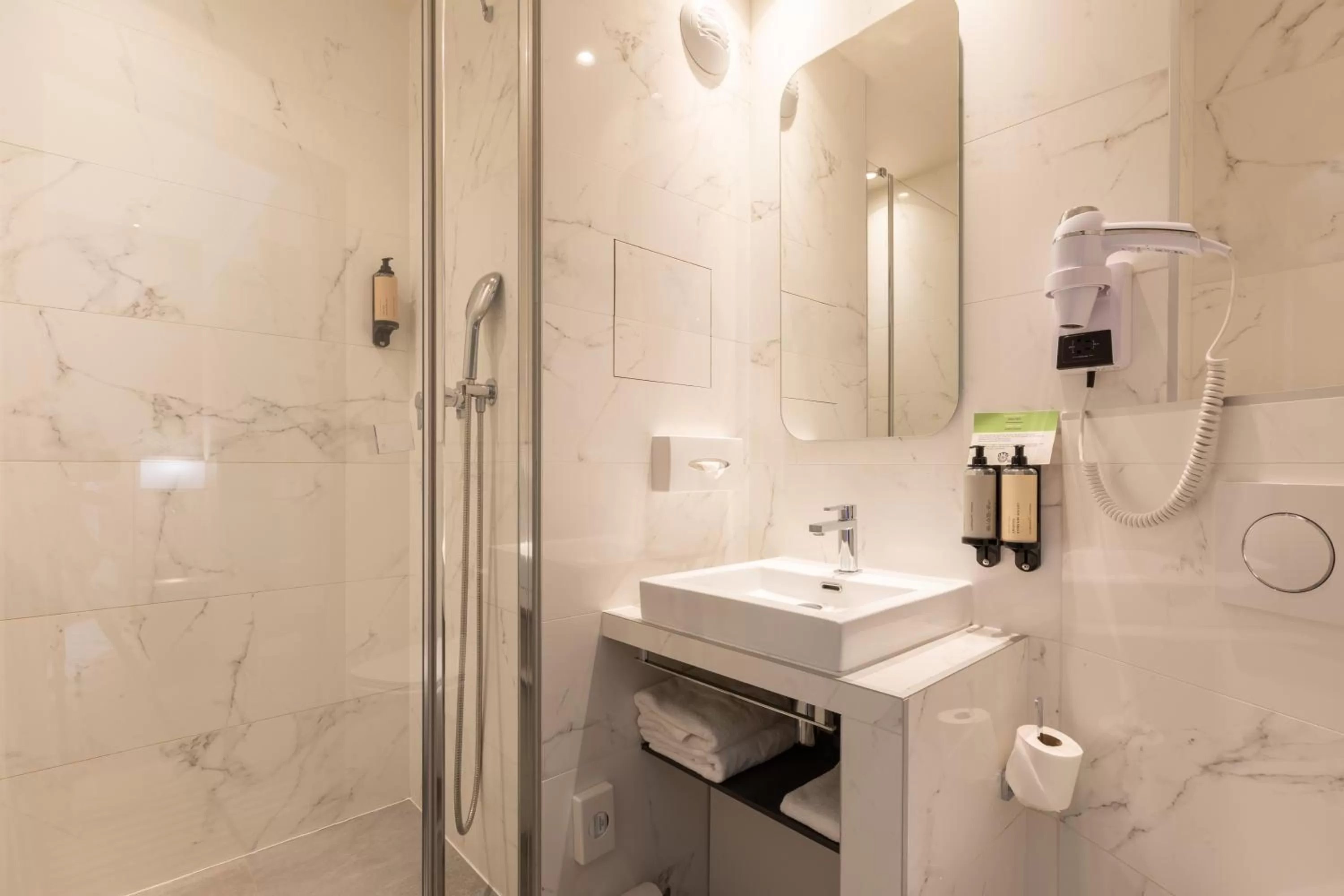 Shower in Prince Albert Lyon Bercy