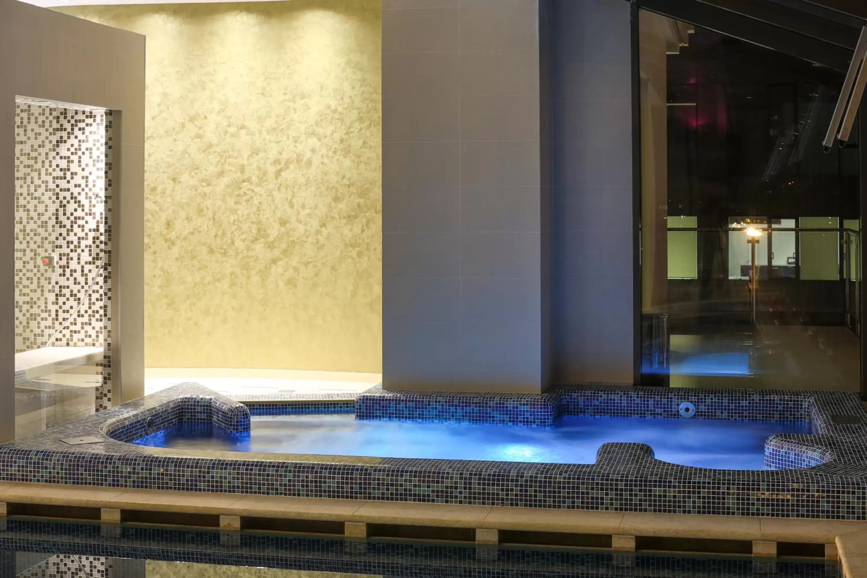 Hot Tub, Swimming Pool in Hotel International Iasi