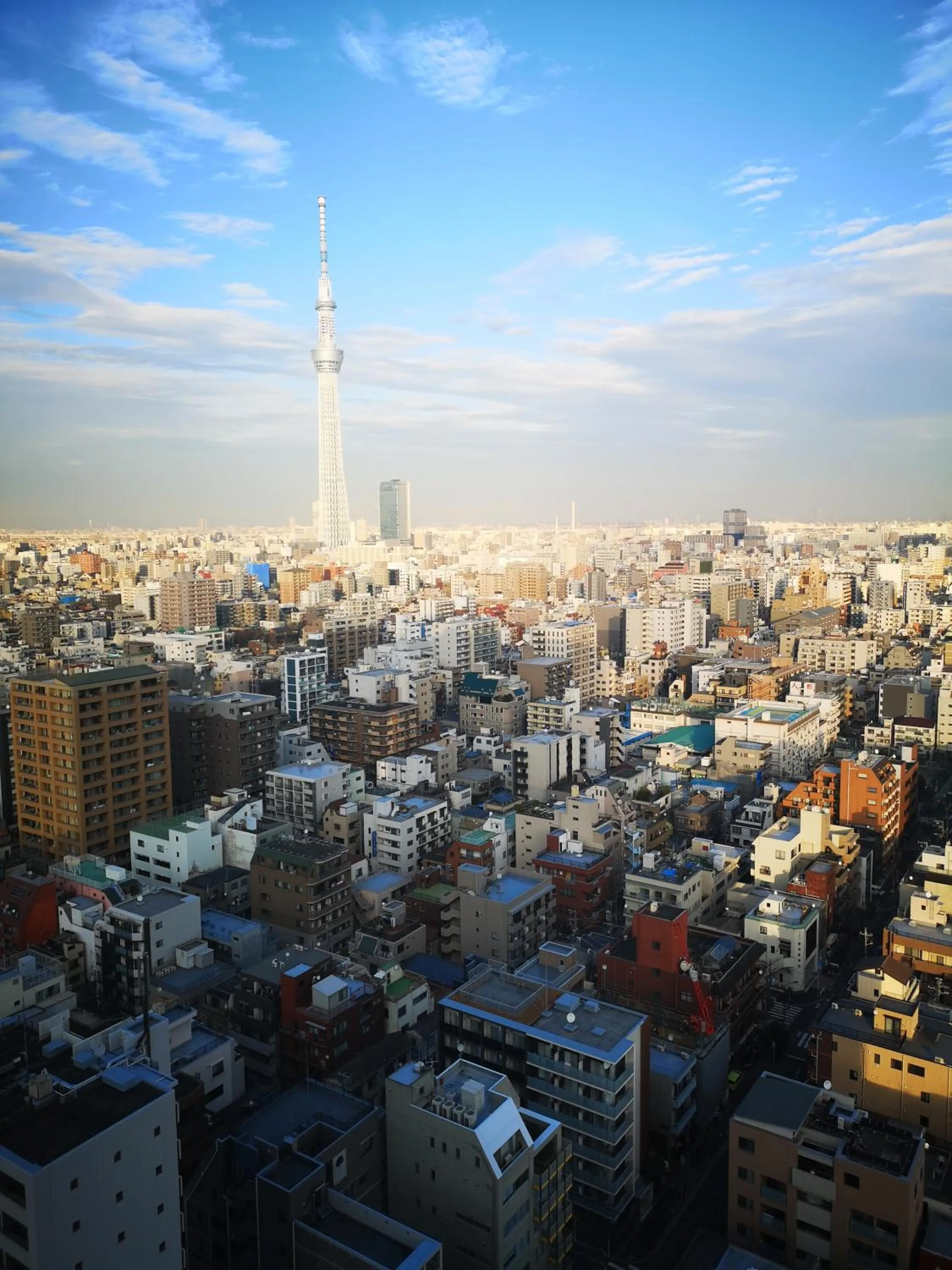 Landmark view in Dai-ichi Hotel Ryogoku