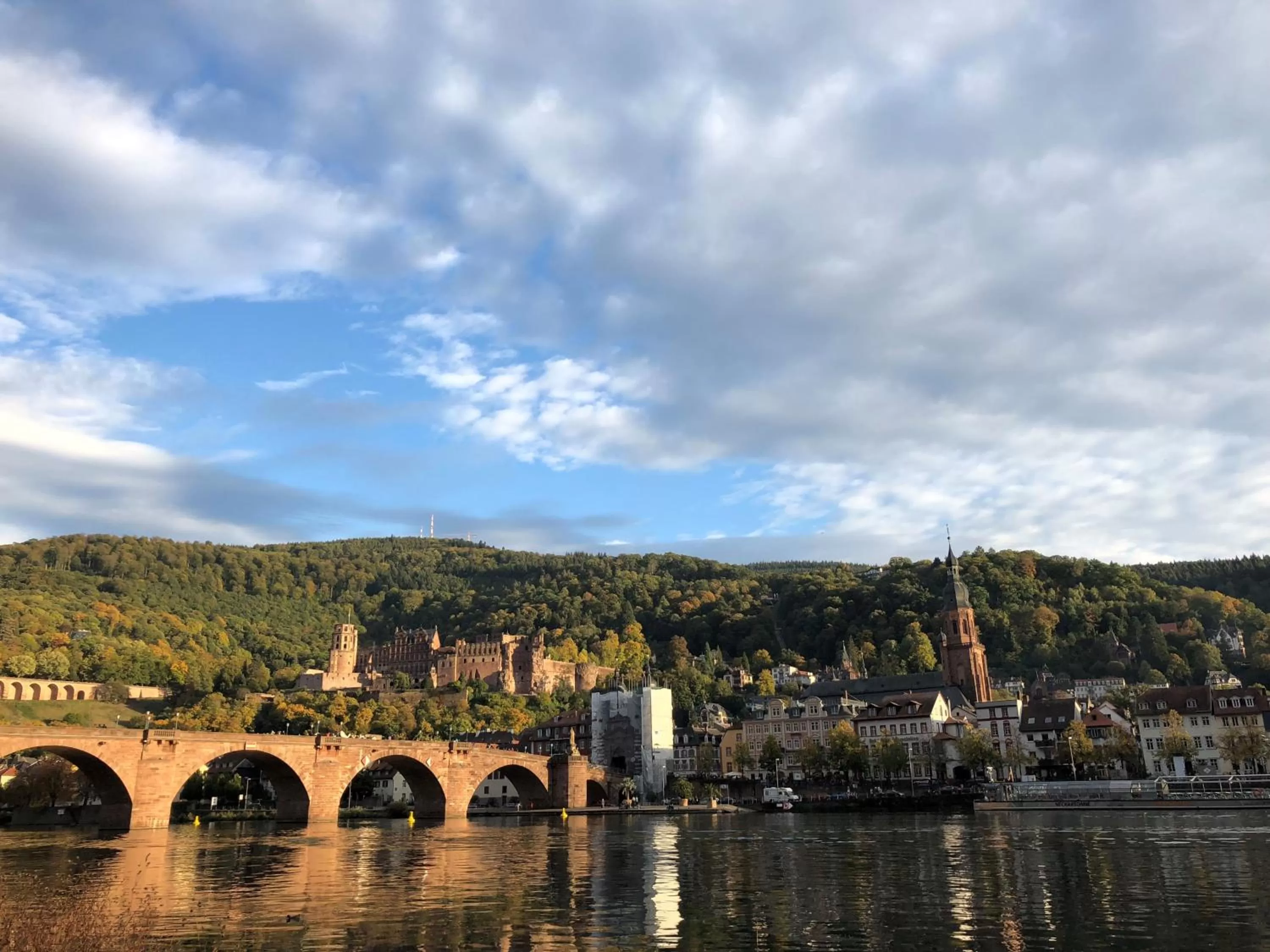 Nearby landmark in Boardinghotel Heidelberg